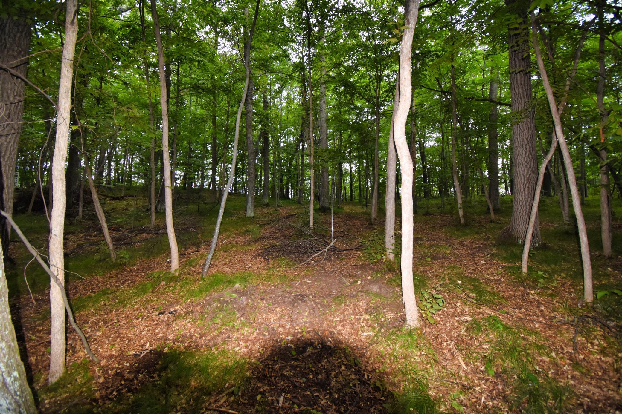 Tbd Osceola Circle Property Photo 4