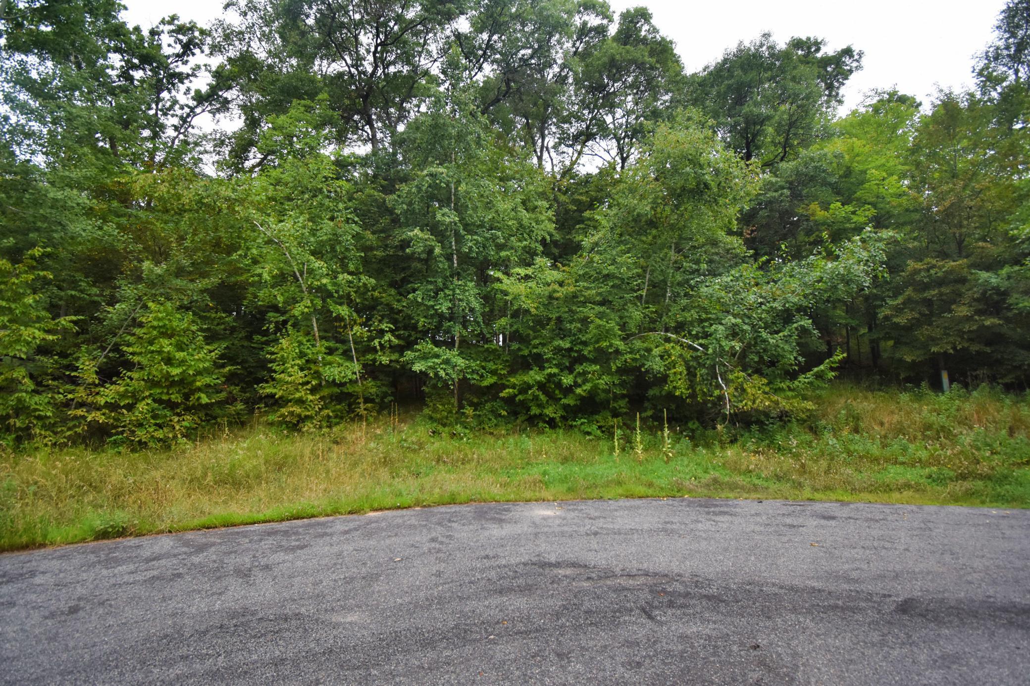 Tbd Osceola Circle Property Photo 5