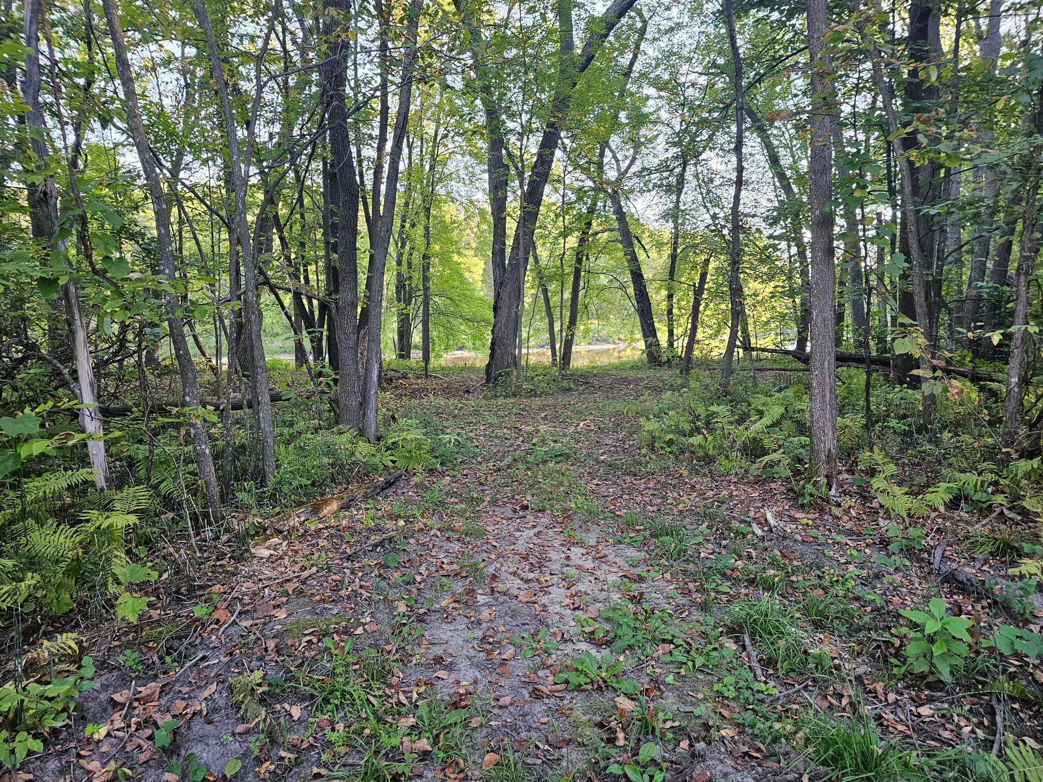 Lot 5 Blk 1, 5.4 Acres County Road 30 Property Photo 7