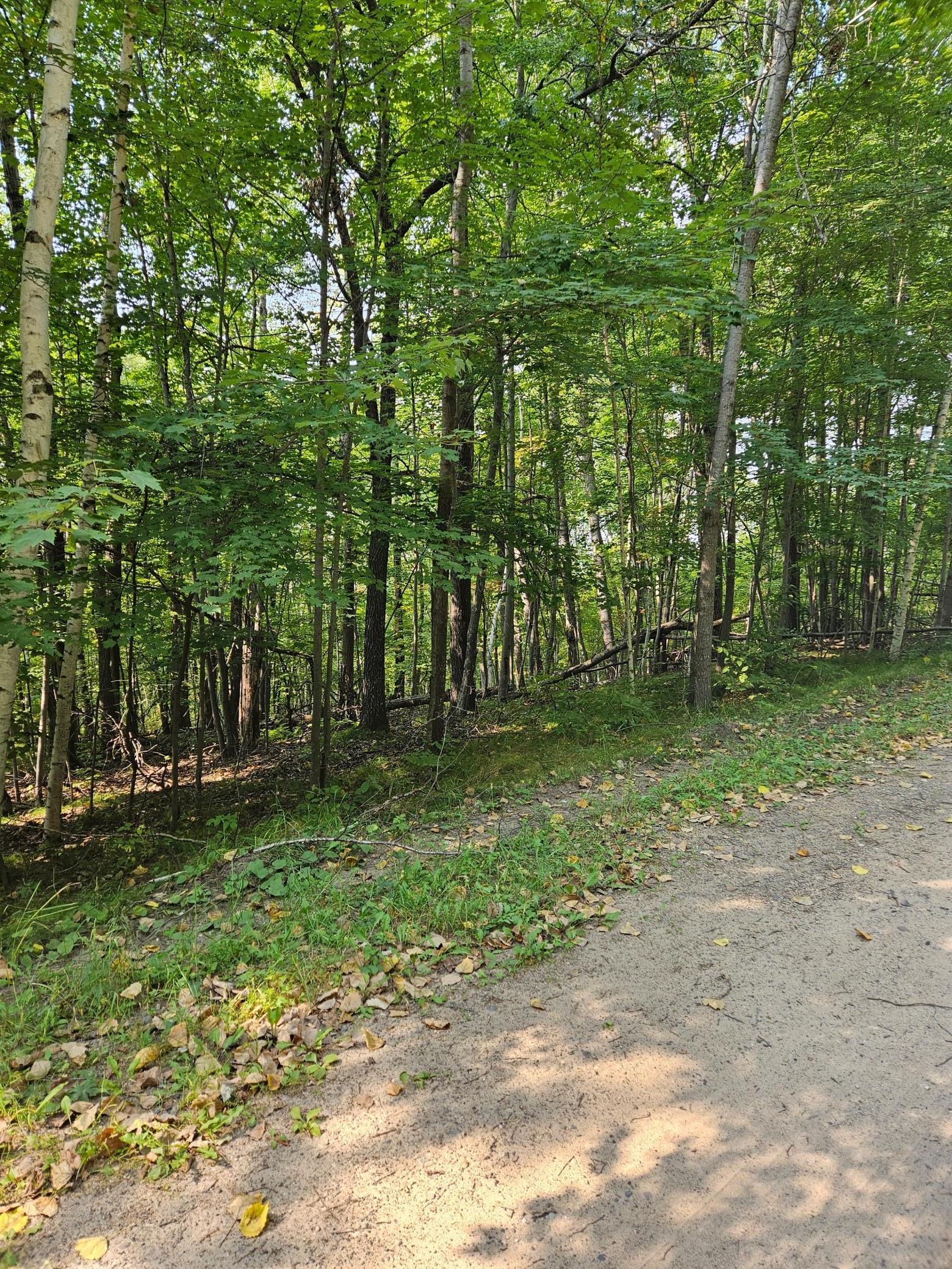 Lots 41-43 Catskill Drive Property Photo 2