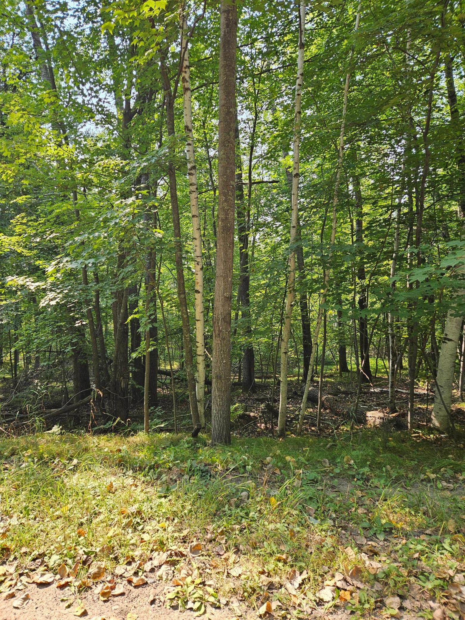 Lots 41-43 Catskill Drive Property Photo 3