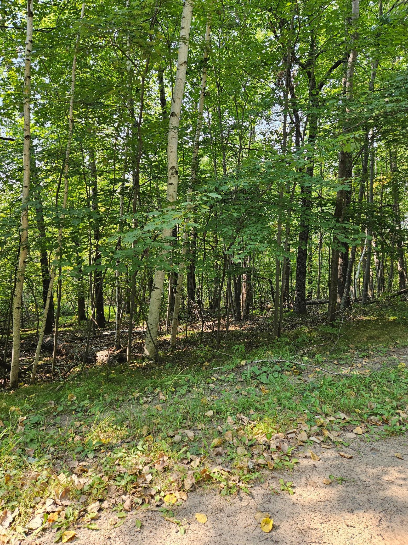 Lots 41-43 Catskill Drive Property Photo 4