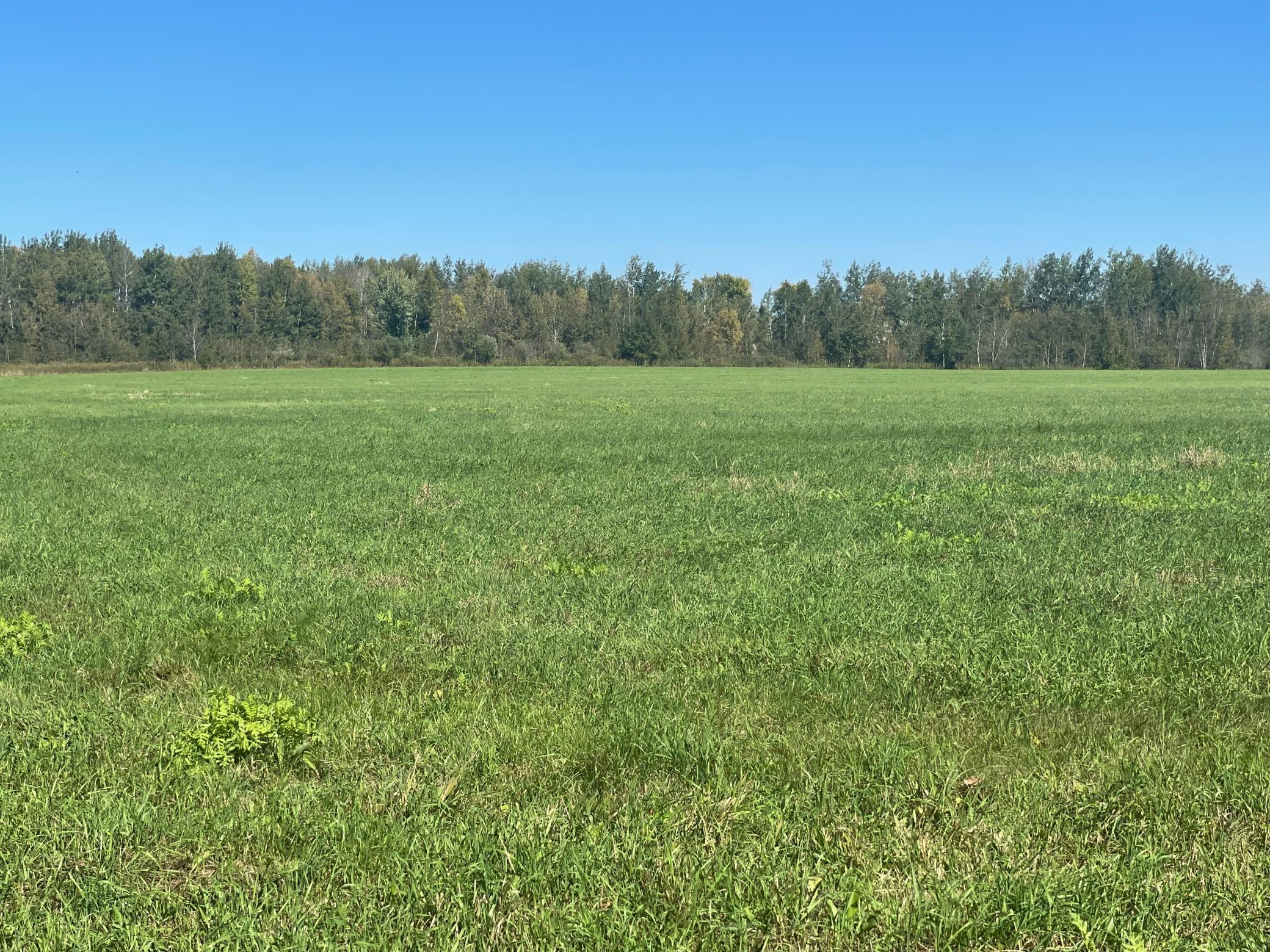 Xxx 140th Property Photo 2