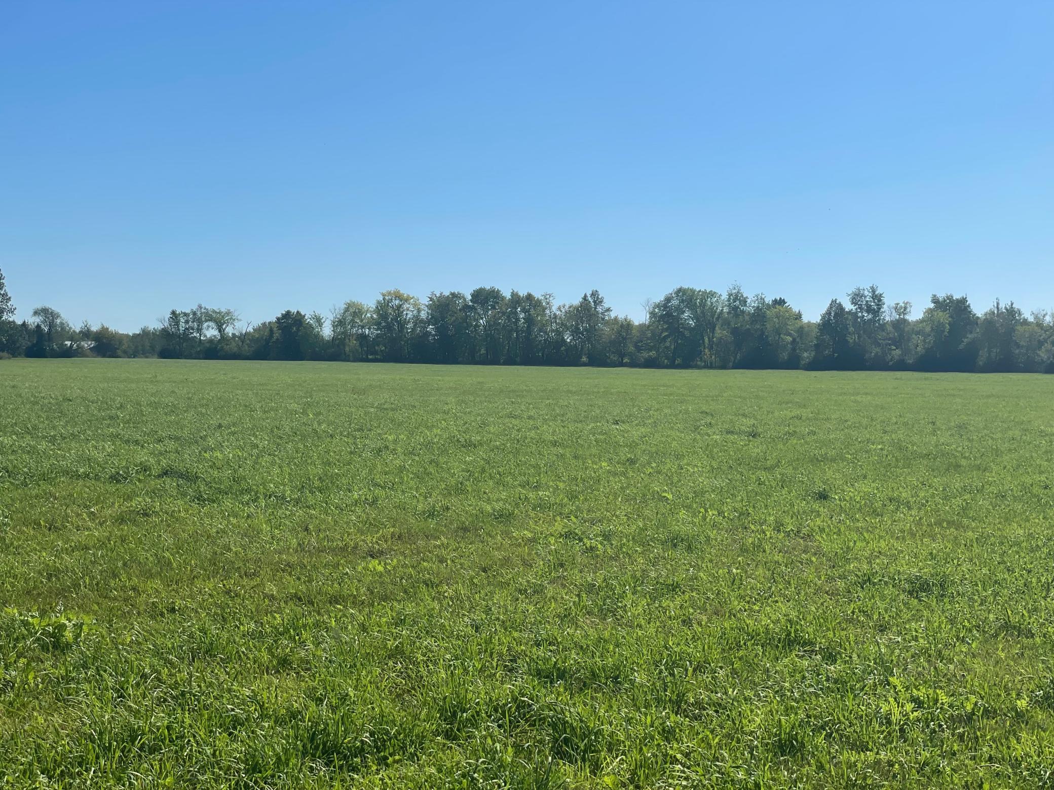 Xxx 140th Property Photo 3