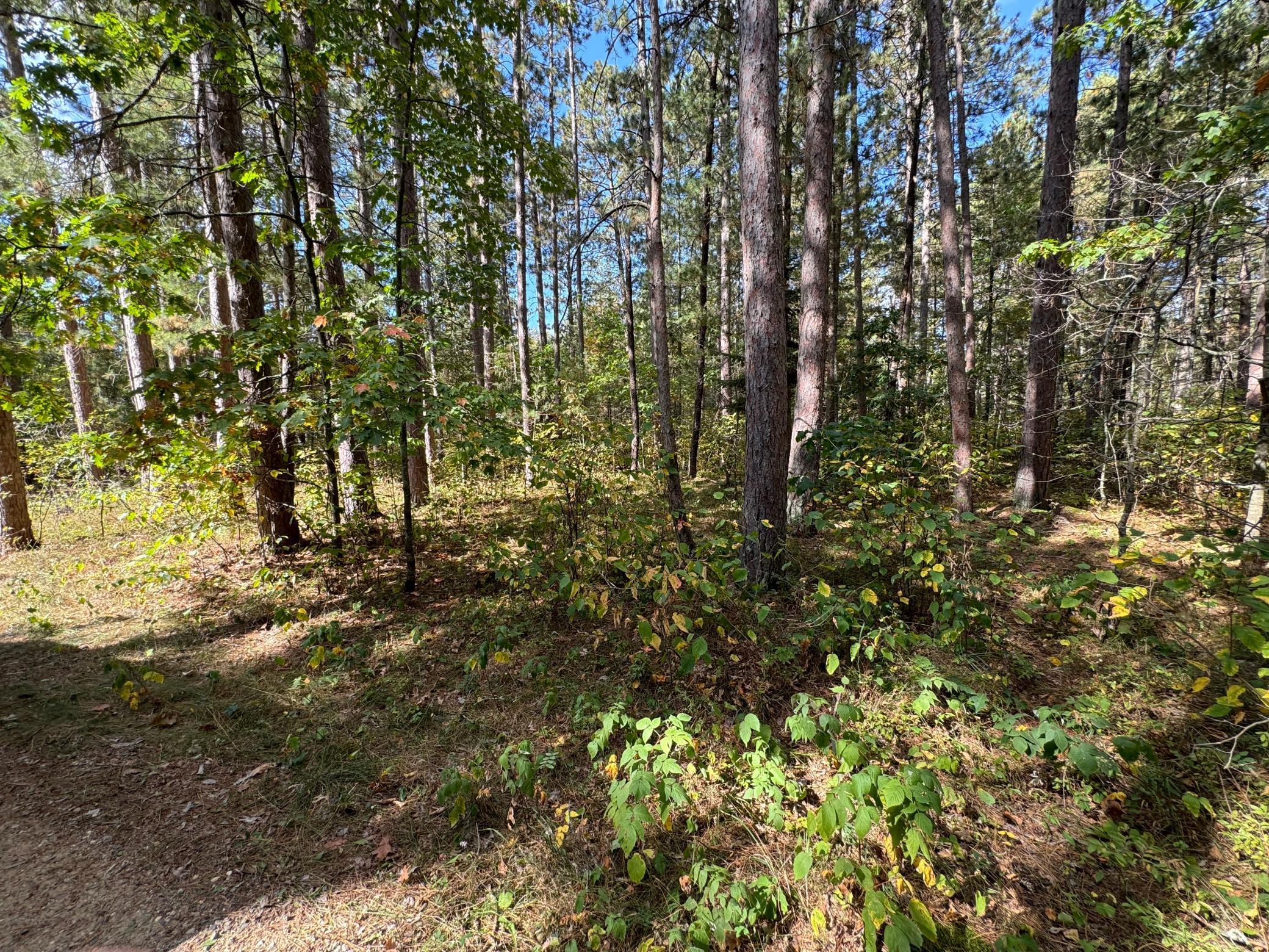 Tbd Midday Circle Property Photo 9