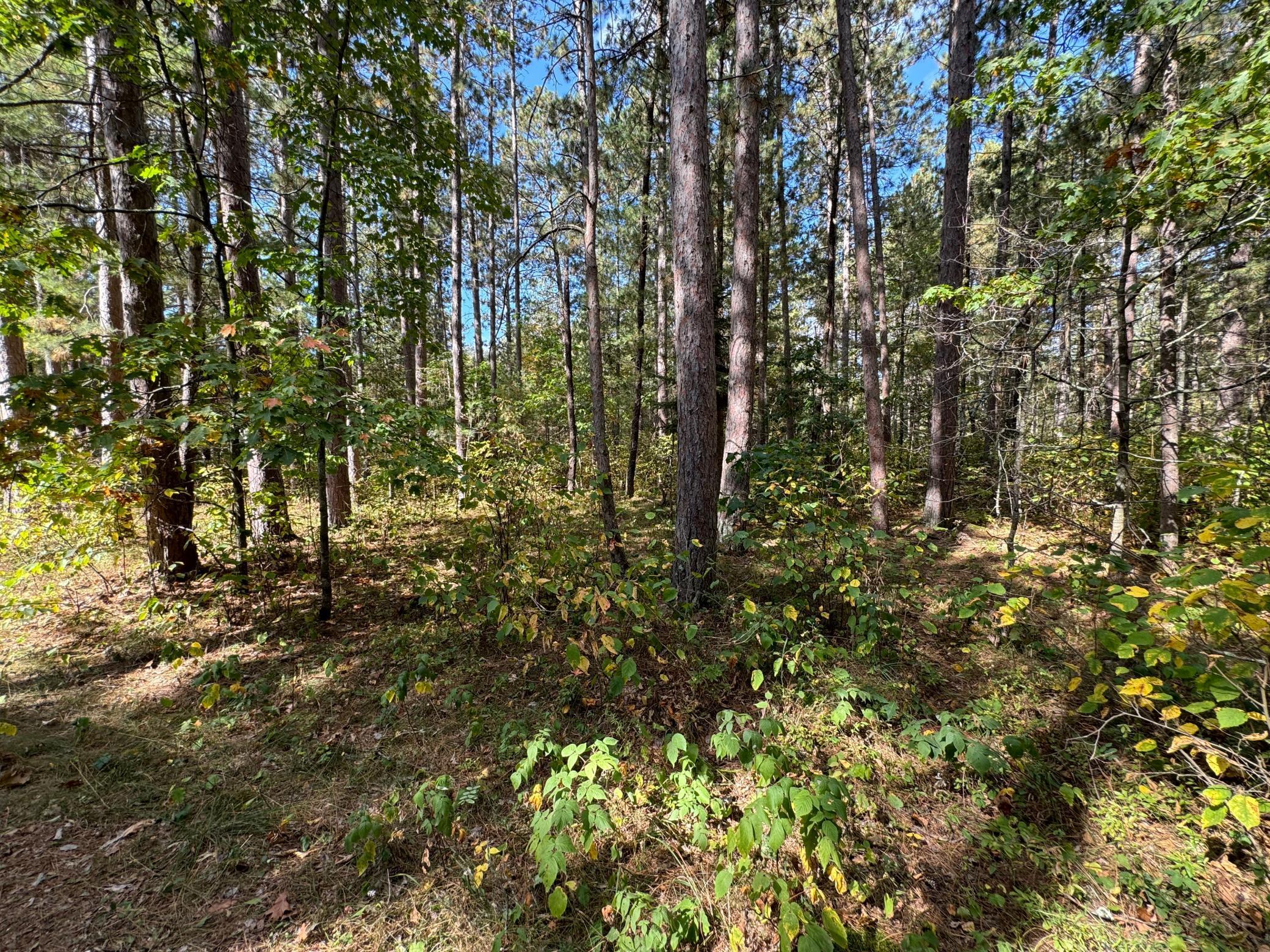 Tbd Midday Circle Property Photo 13