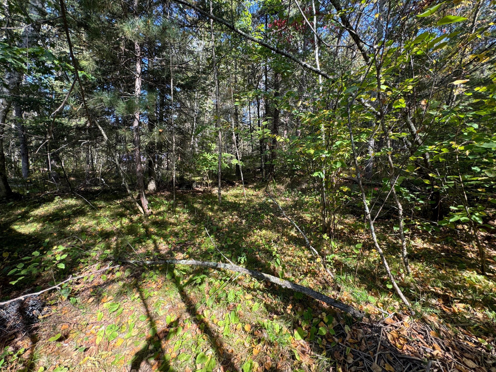 Tbd Midday Circle Property Photo 14