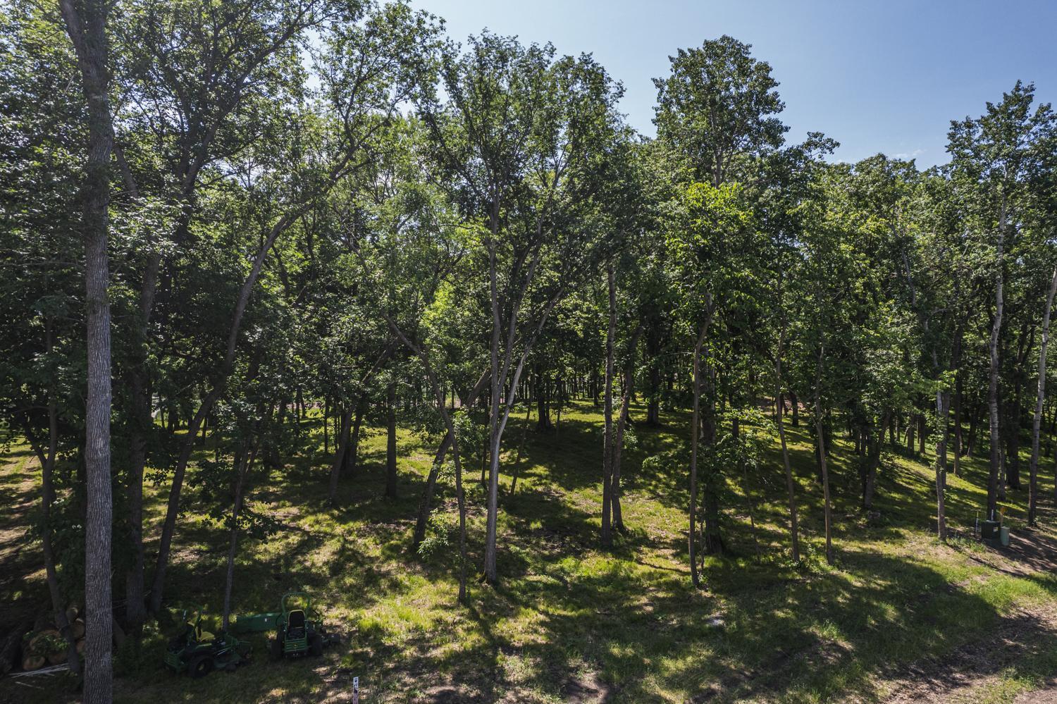 Tract N Blybergs Lane Property Photo 29