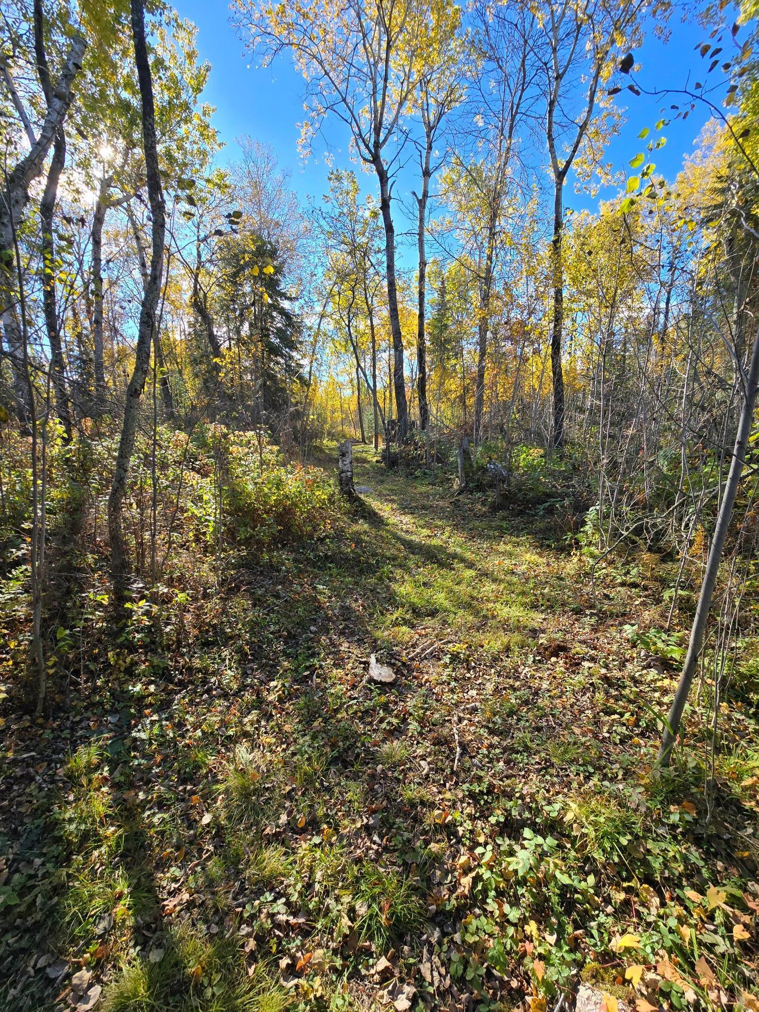 Tract 8 Brush Island Property Photo 8