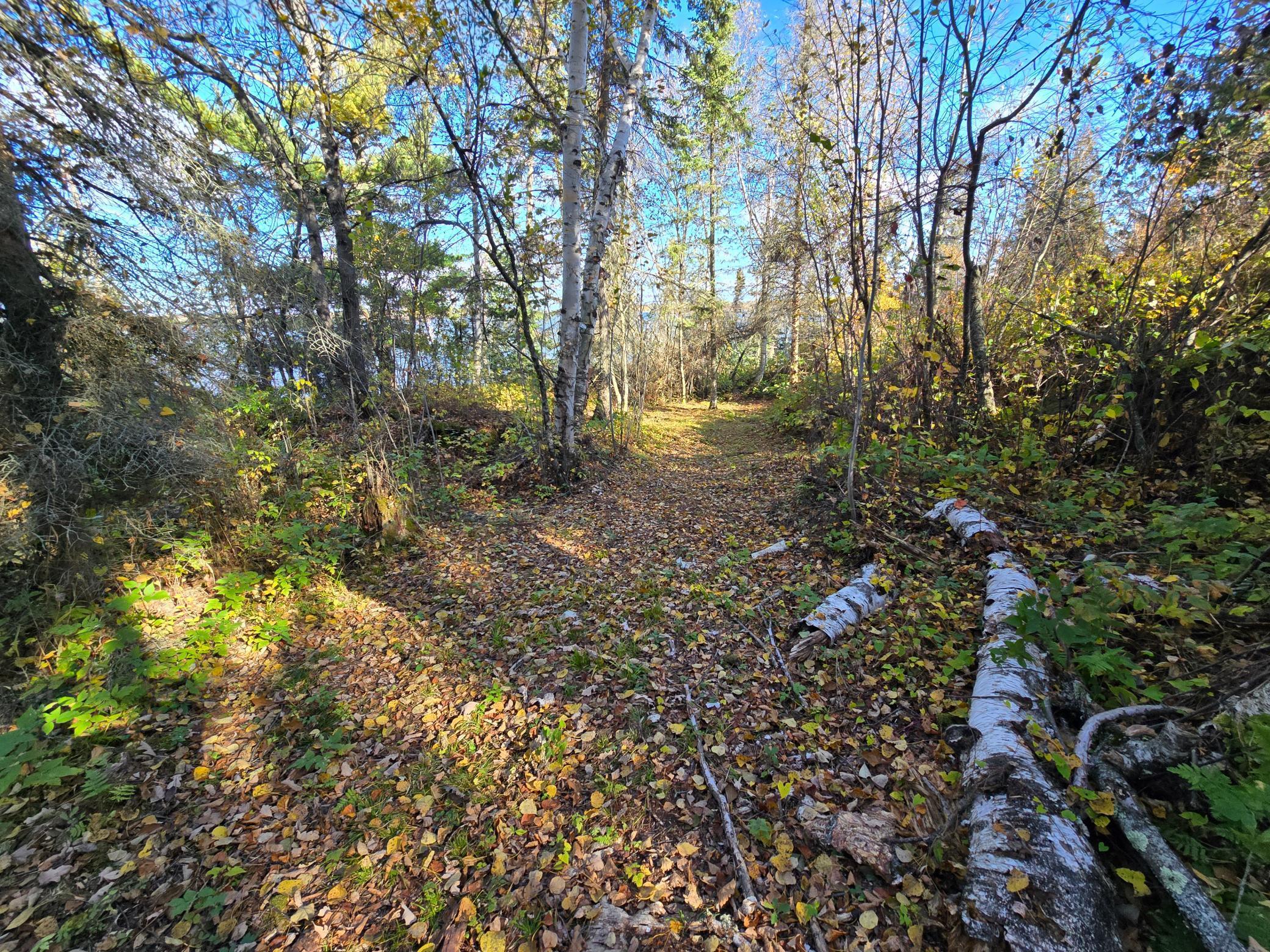 Tract 8 Brush Island Property Photo 21
