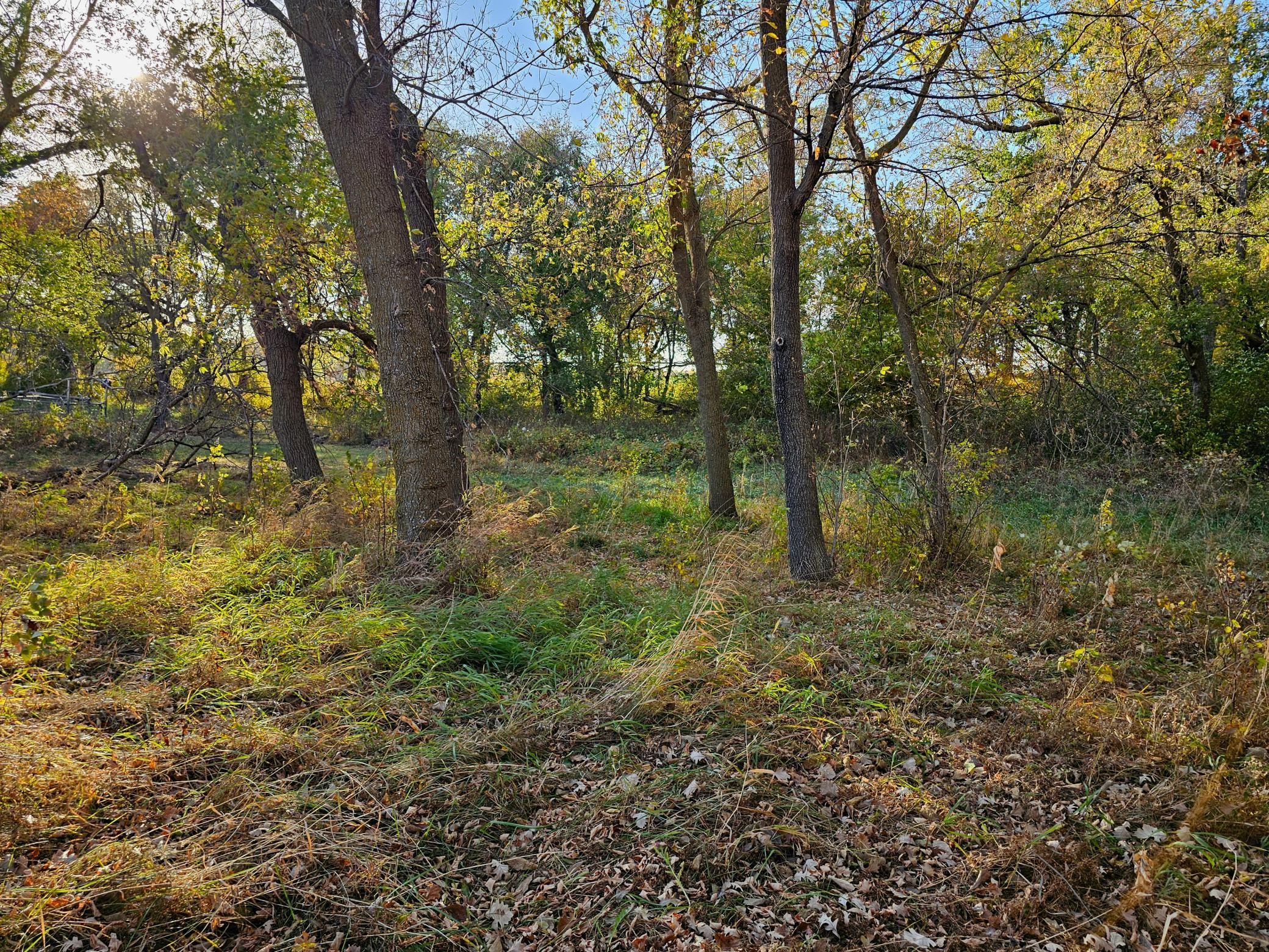 417xx Foursquare Rd Property Photo 4