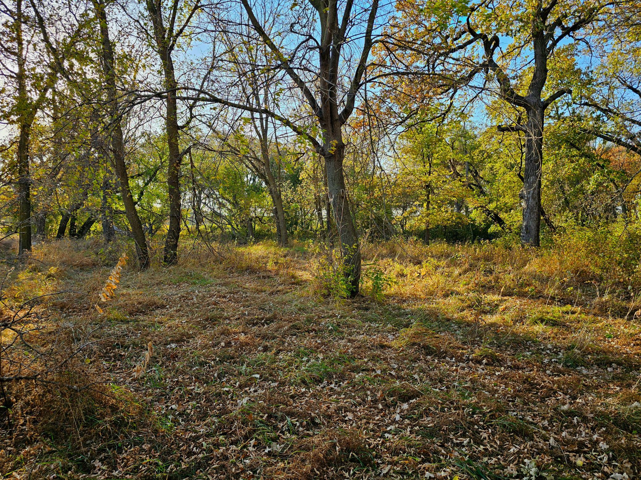 417xx Foursquare Rd Property Photo 5