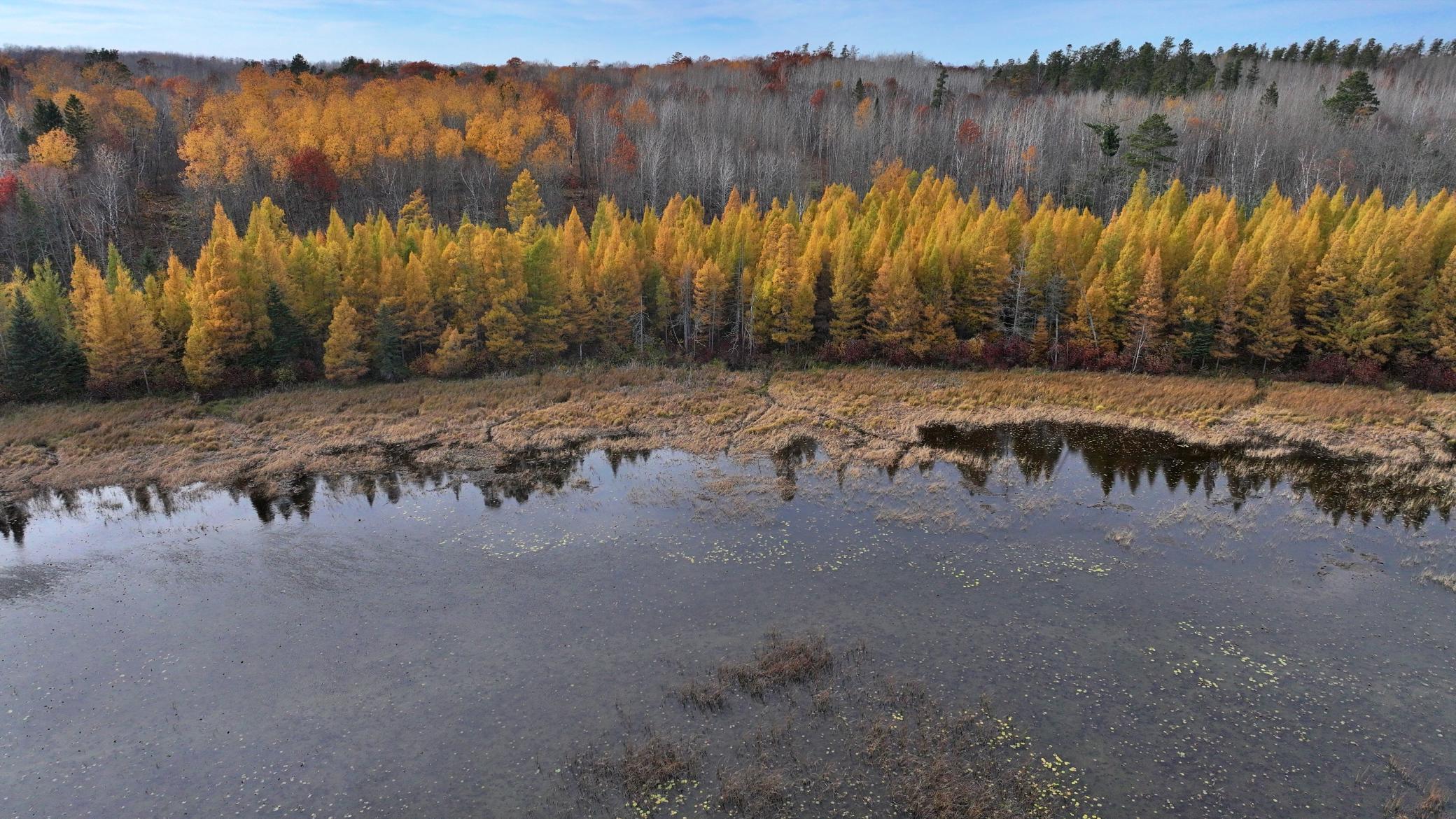 Tbd County 4 - Lot 9 Property Photo 8