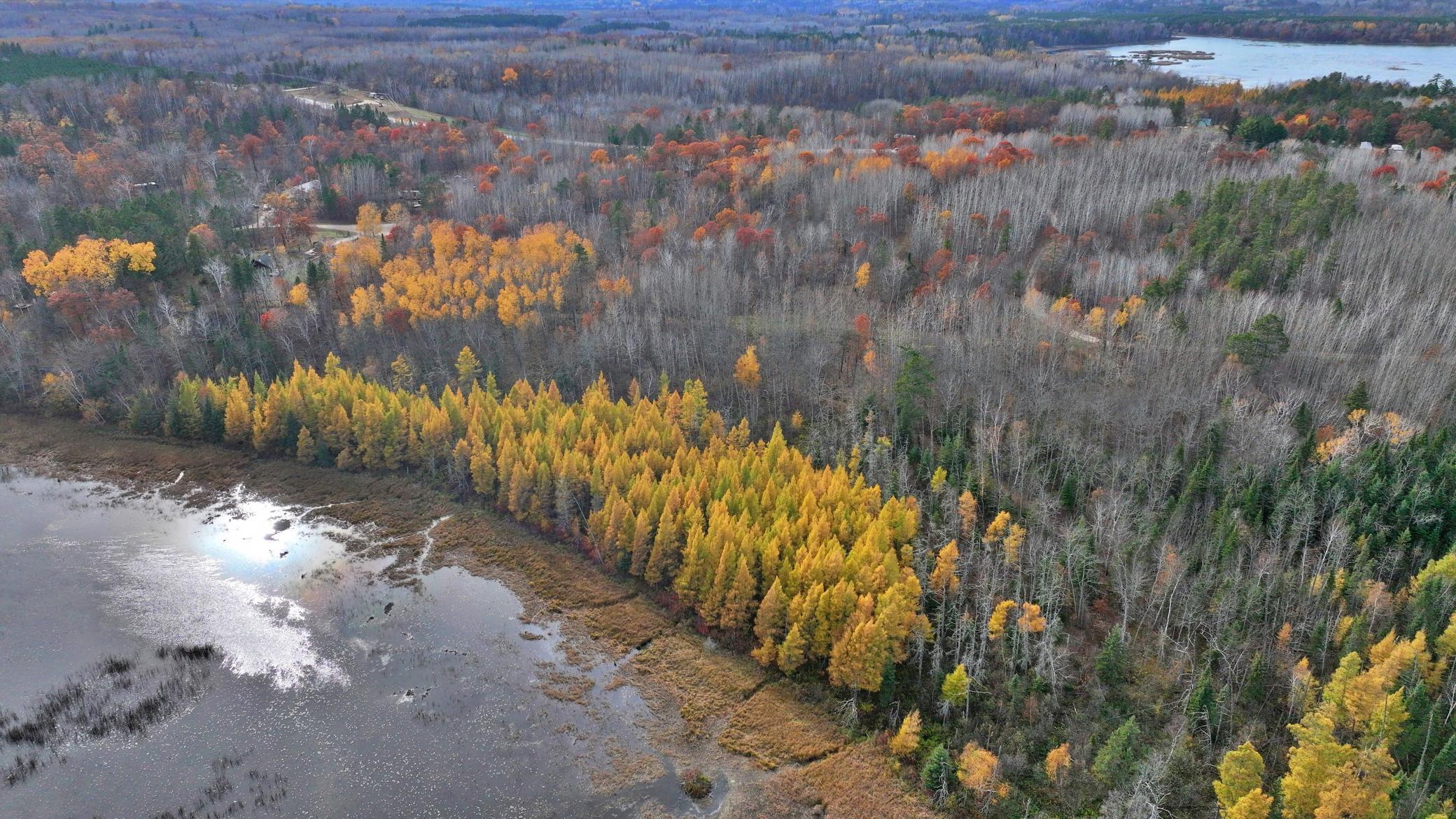Tbd County 4 - Lot 9 Property Photo 9