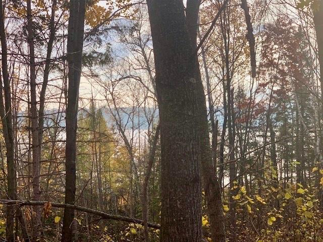 Tbd County 4 - Lot 9 Property Photo 13