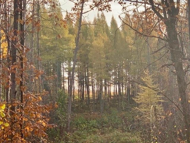 Tbd County 4 - Lot 9 Property Photo 14