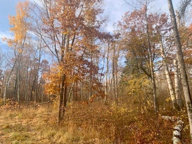 Tbd County 4 - Lot 9 Property Photo 16