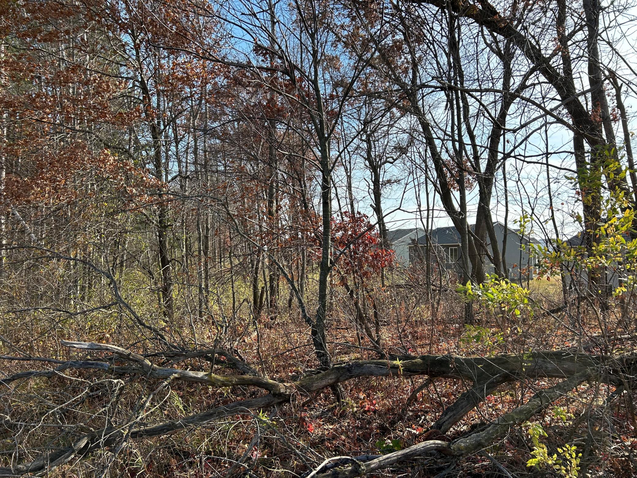 1888 80th Street Property Photo 15