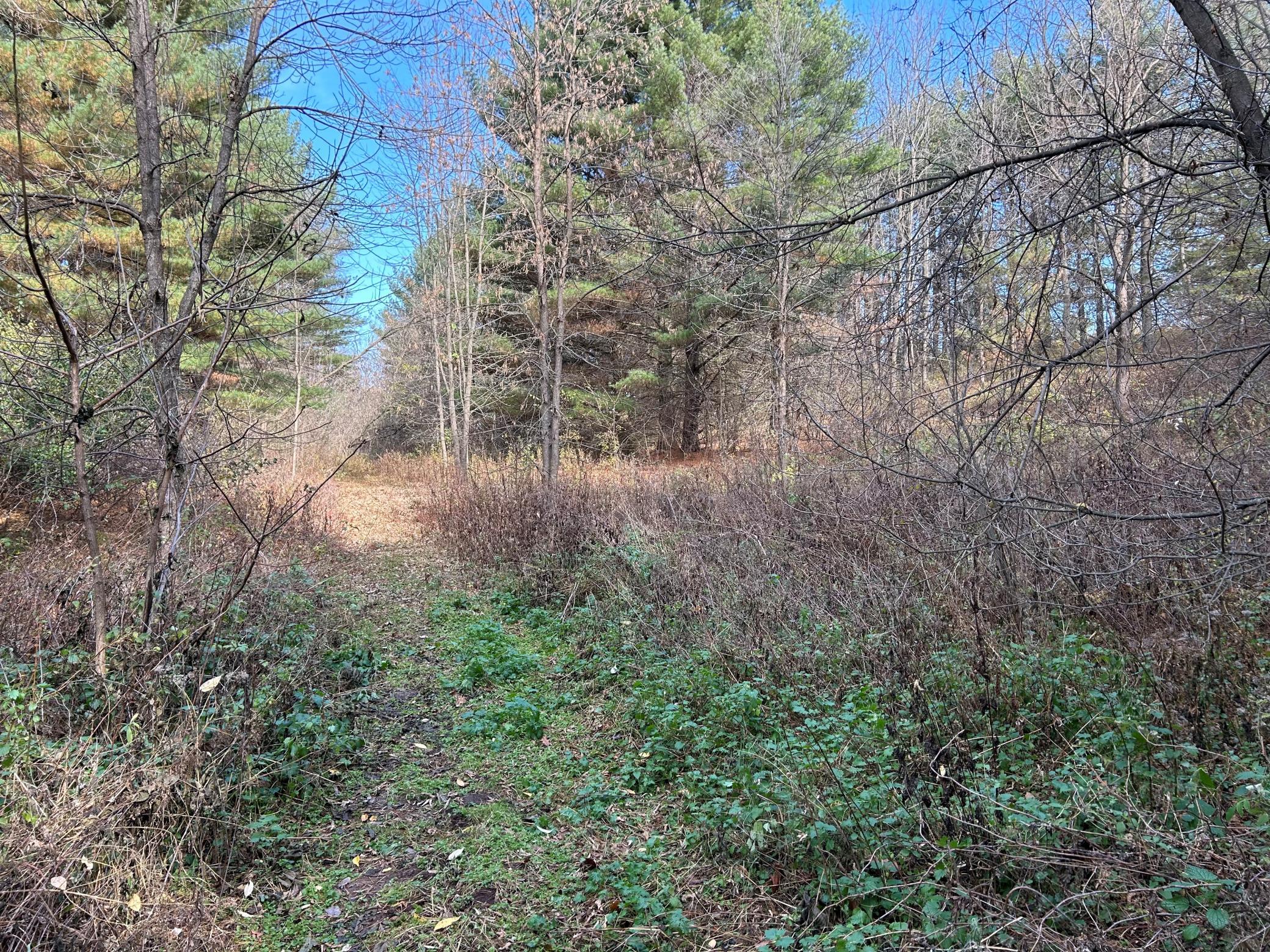 1888 80th Street Property Photo 20