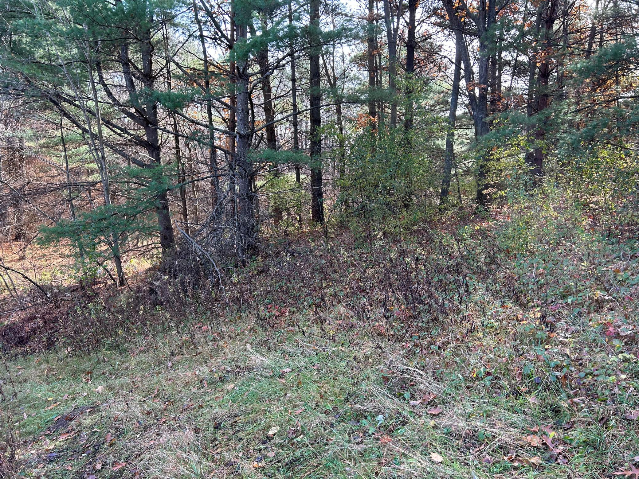 1888 80th Street Property Photo 22