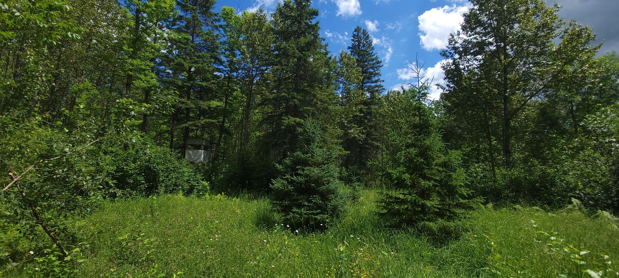 Tbd State Hwy 1 Property Photo 1