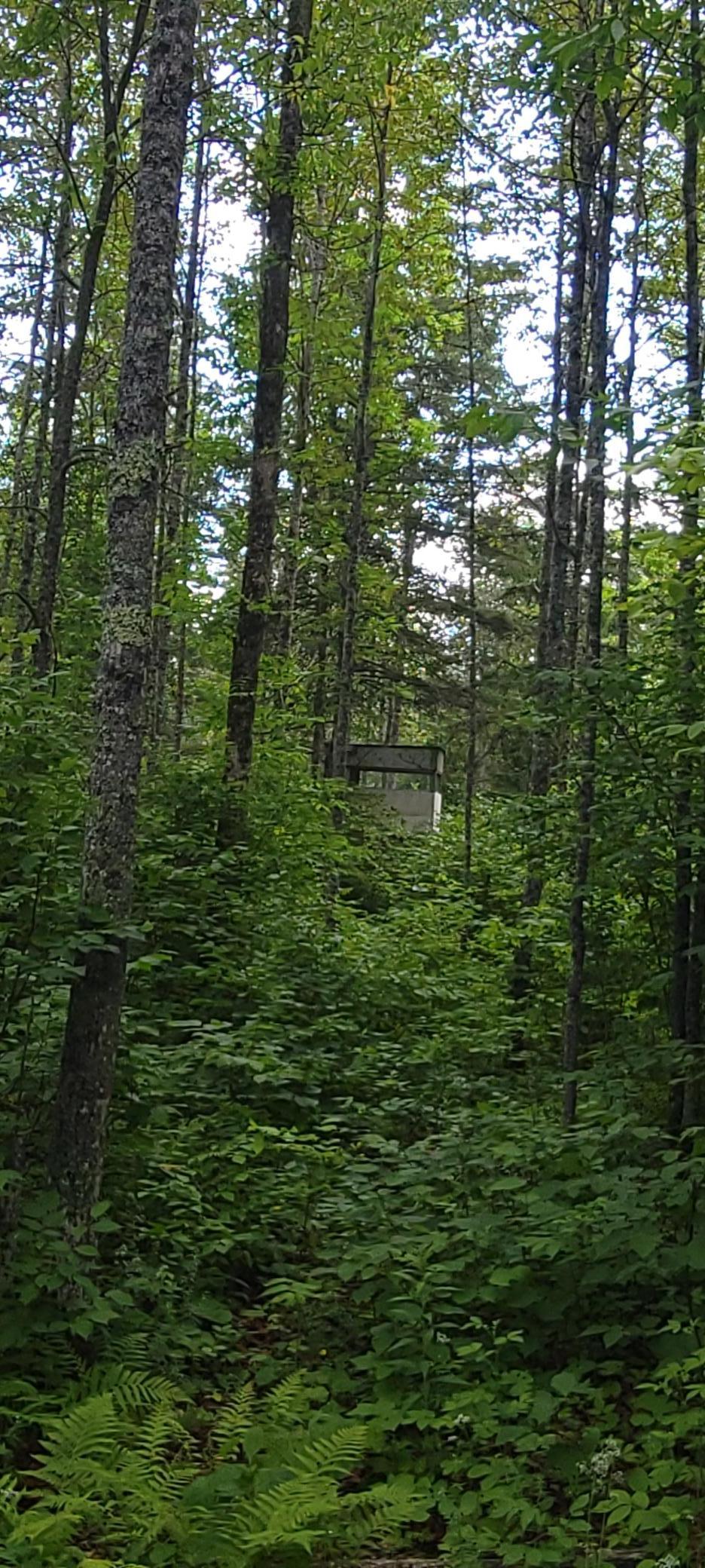 Tbd State Hwy 1 Property Photo 2