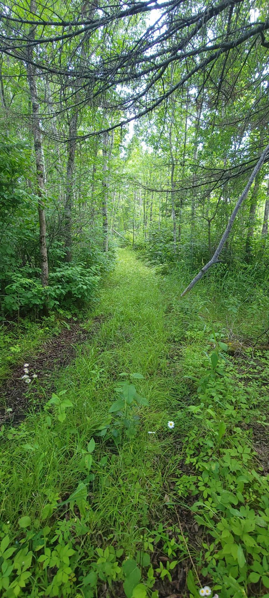 Tbd State Hwy 1 Property Photo 5