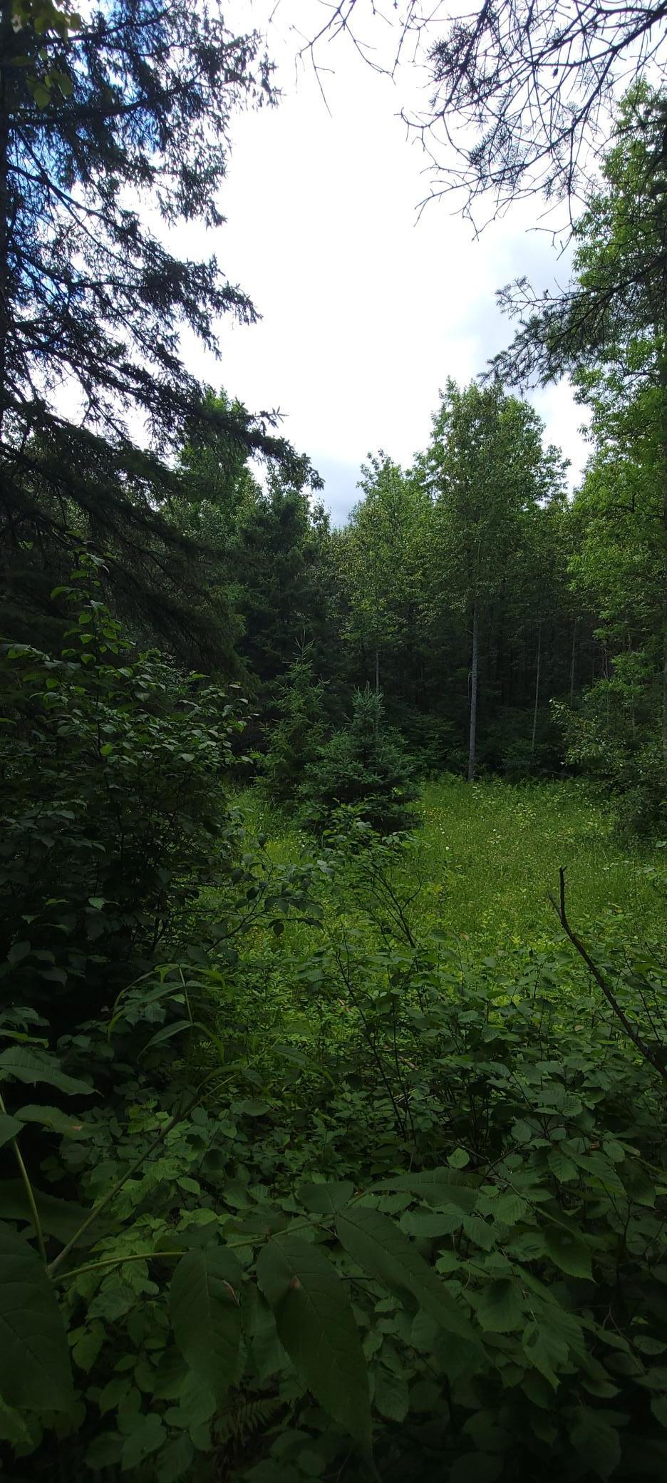 Tbd State Hwy 1 Property Photo 7