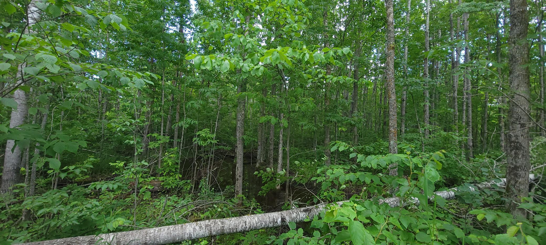 Tbd State Hwy 1 Property Photo 9