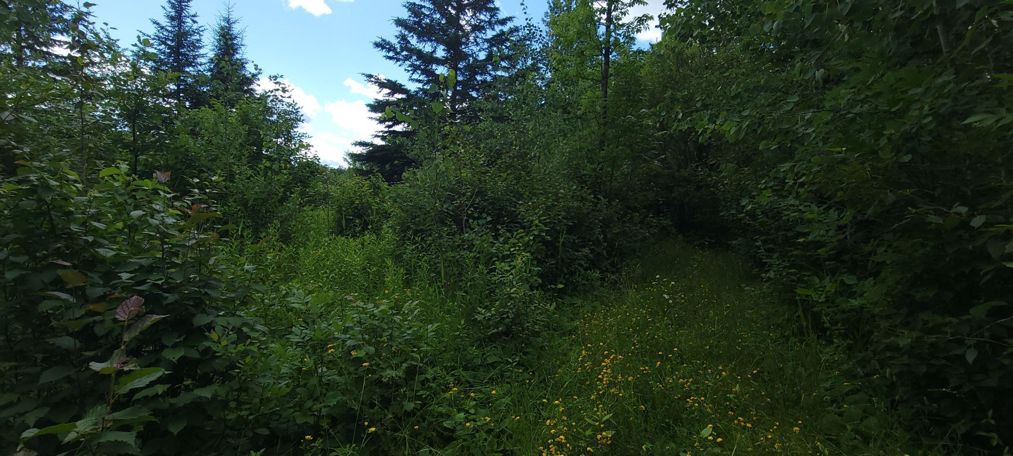 Tbd State Hwy 1 Property Photo 10