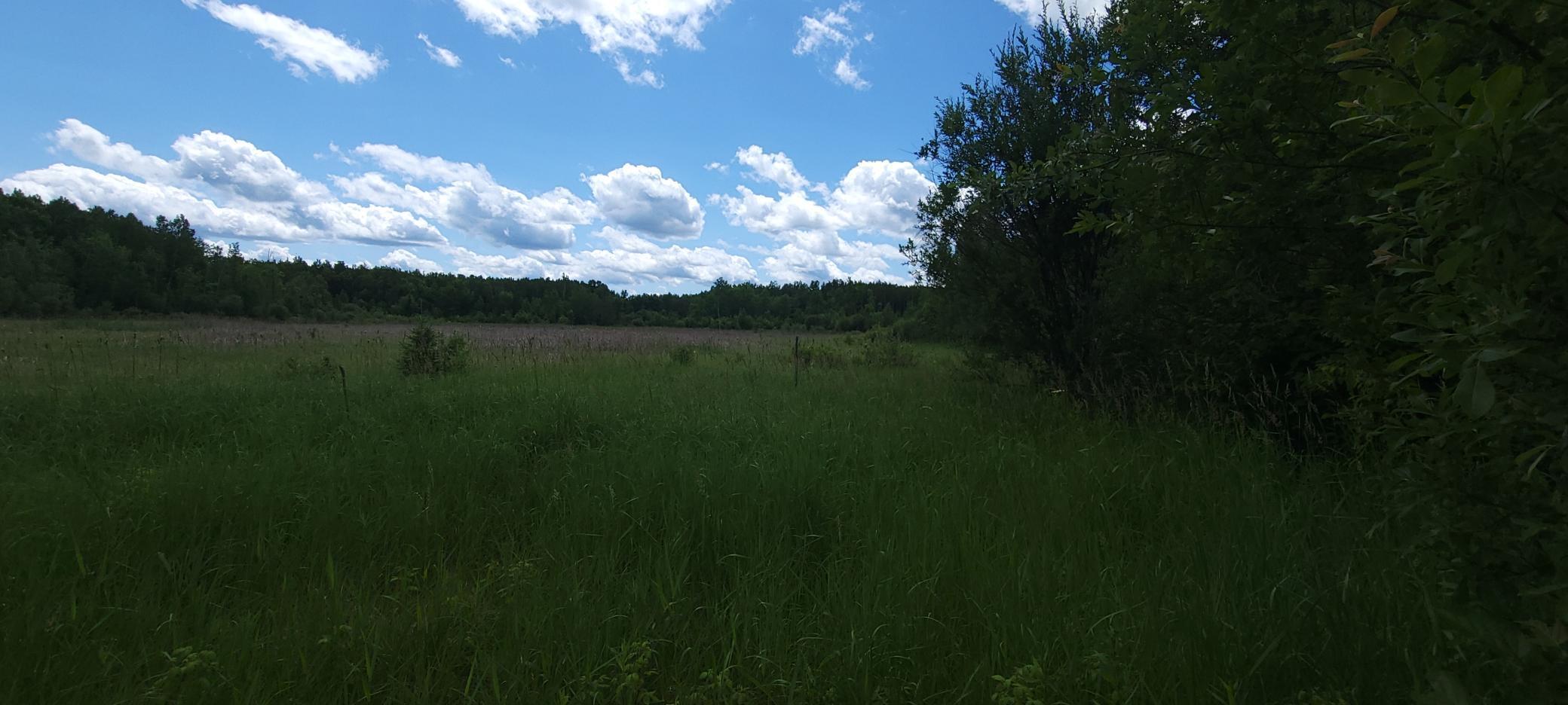 Tbd State Hwy 1 Property Photo 12