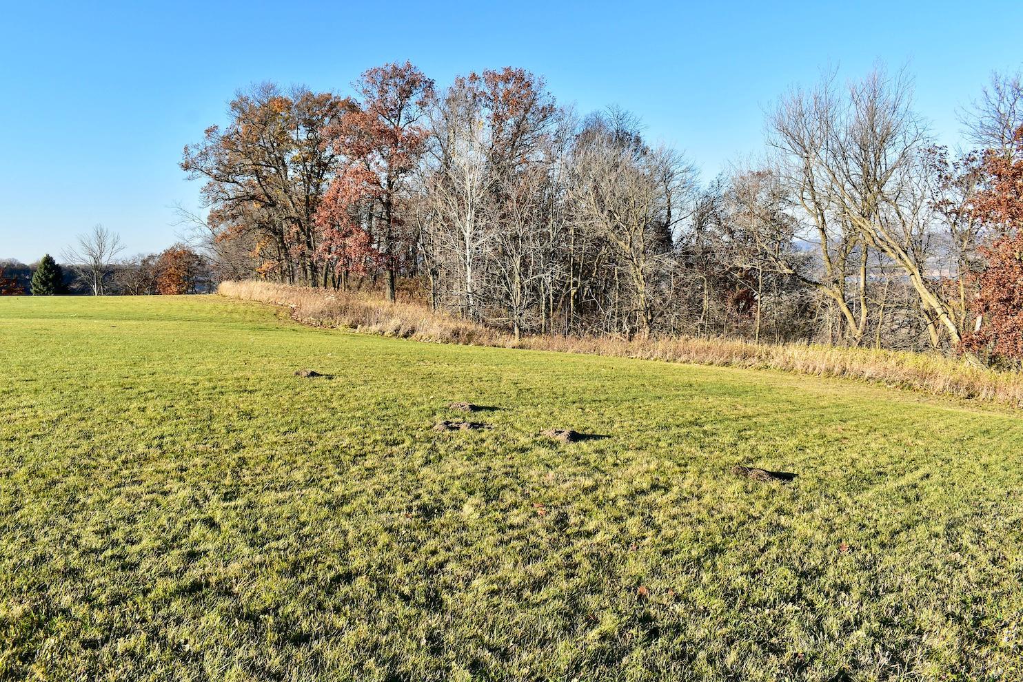 Lot 9 177th Avenue Property Photo 4