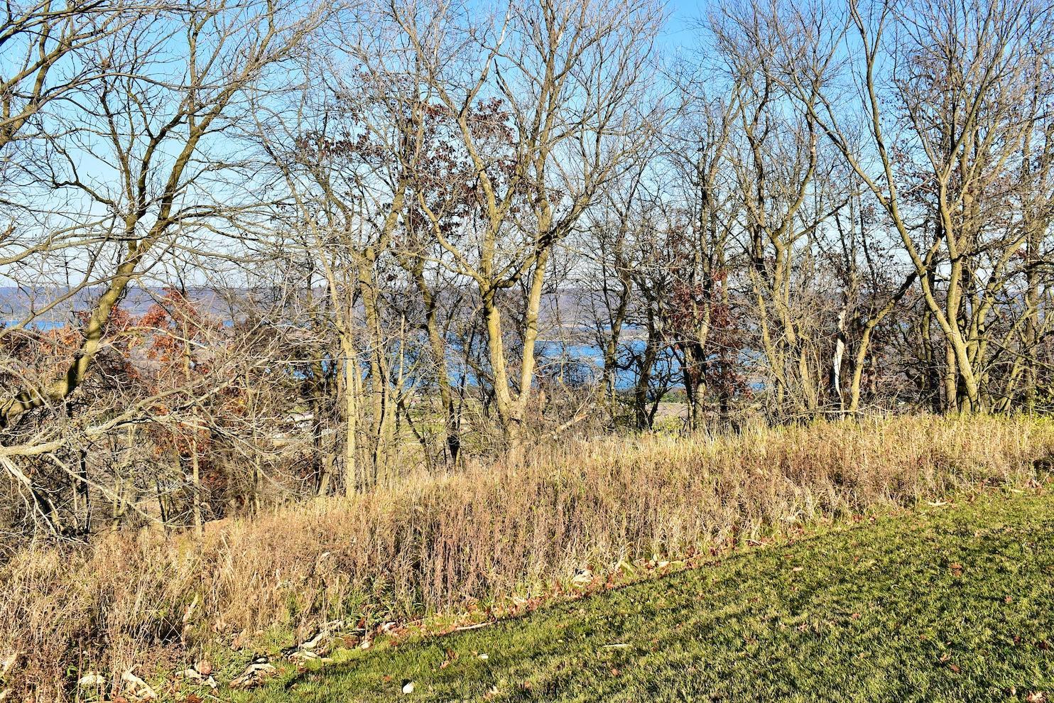 Lot 9 177th Avenue Property Photo 5