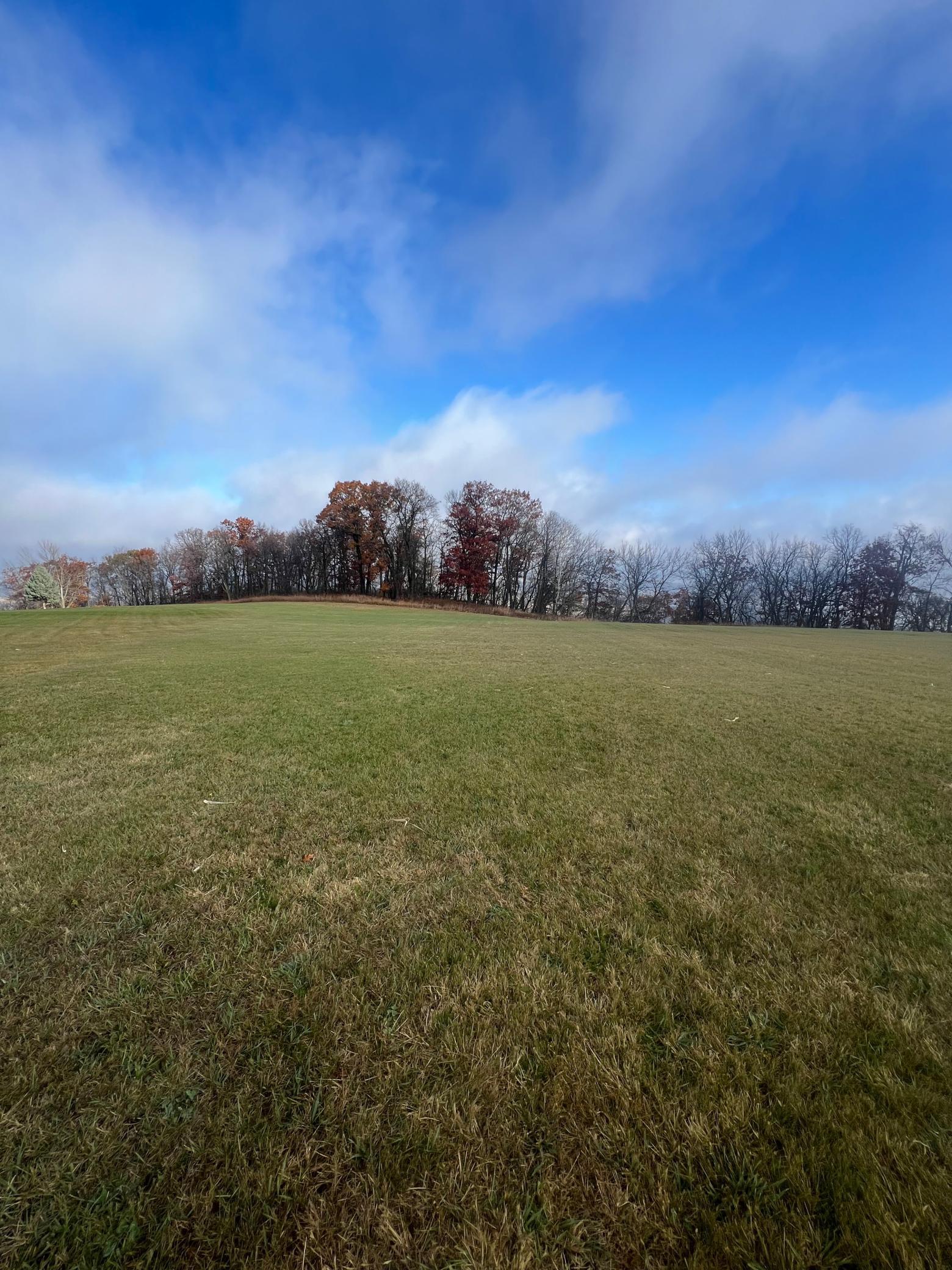 Lot 9 177th Avenue Property Photo 8