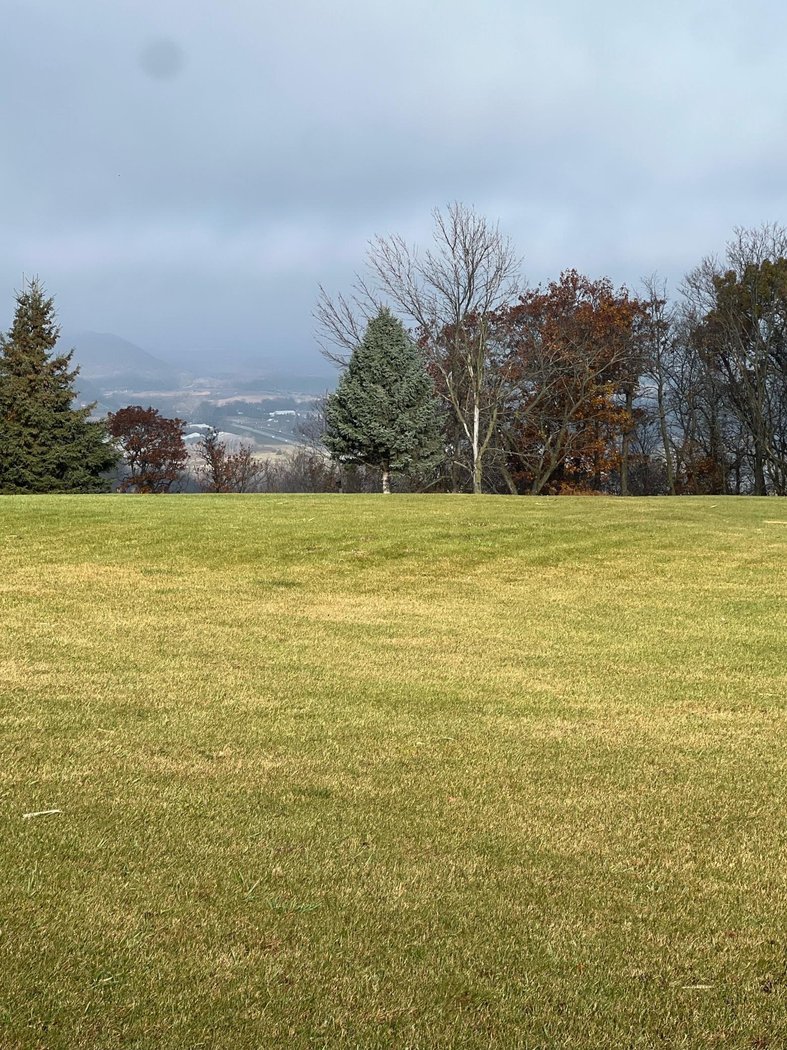 Lot 9 177th Avenue Property Photo 9