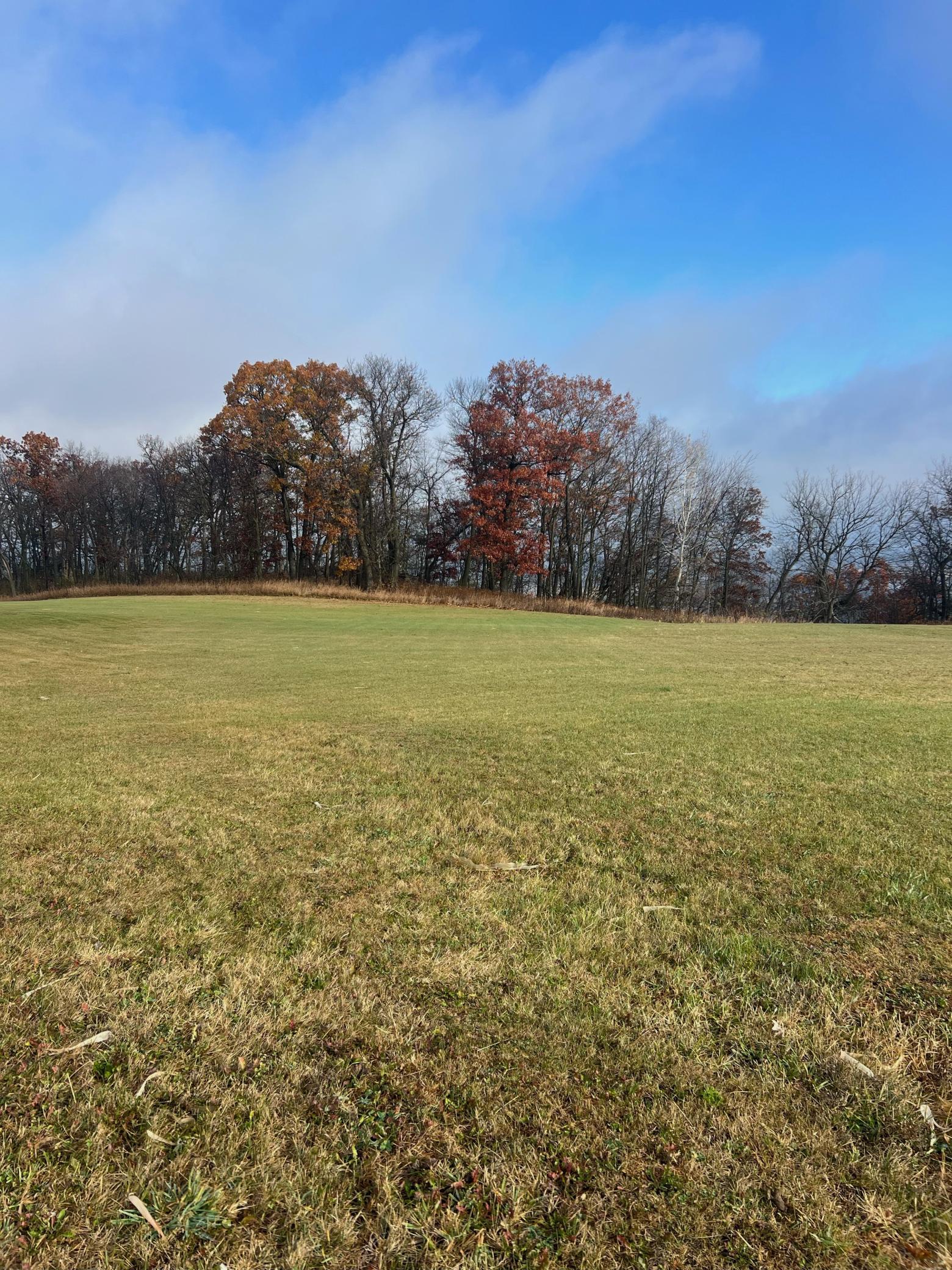 Lot 9 177th Avenue Property Photo 11