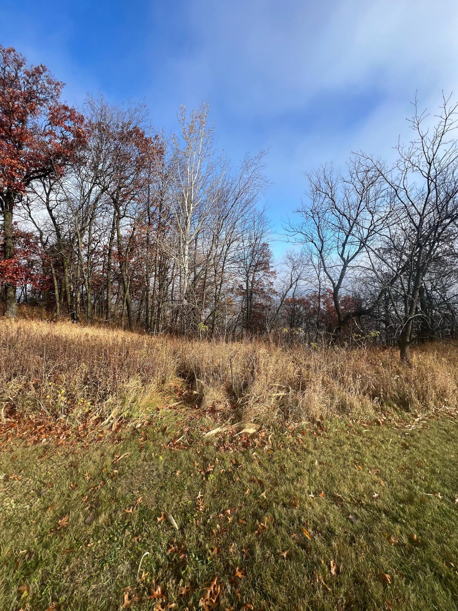 Lot 9 177th Avenue Property Photo 12