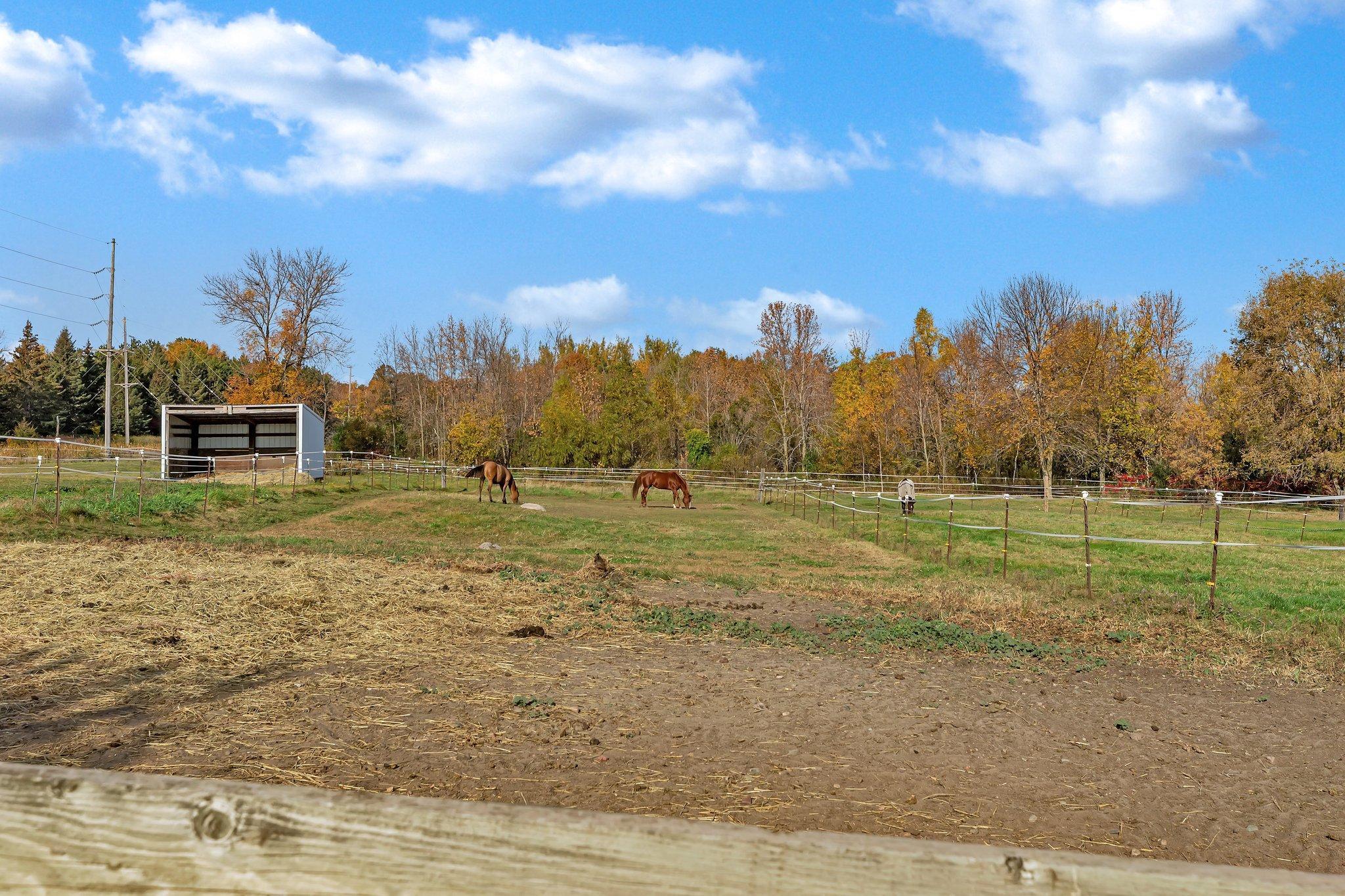 31572 Collegeville Road Property Photo 25