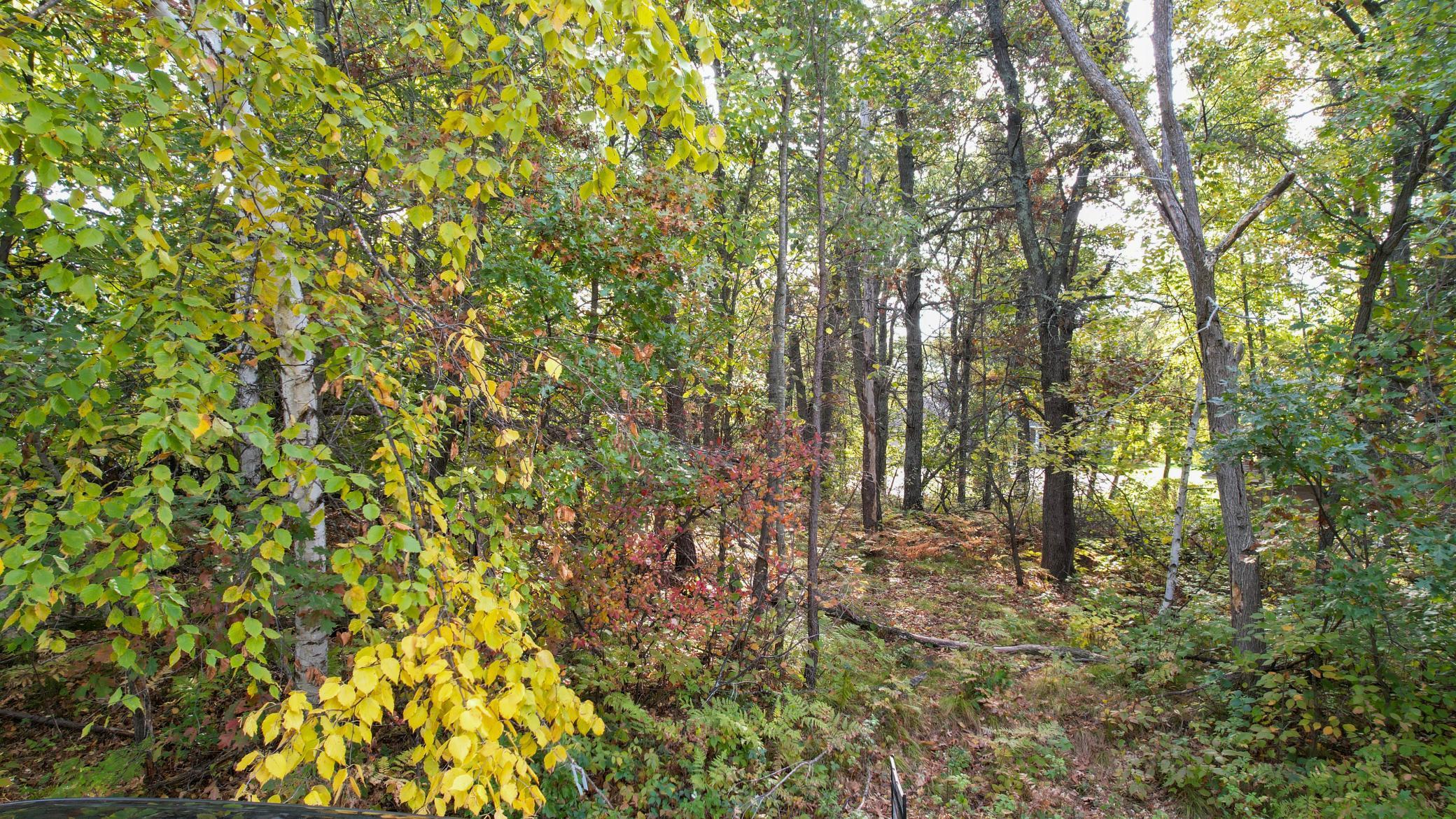 Tbd River Vista Dr Property Photo 10