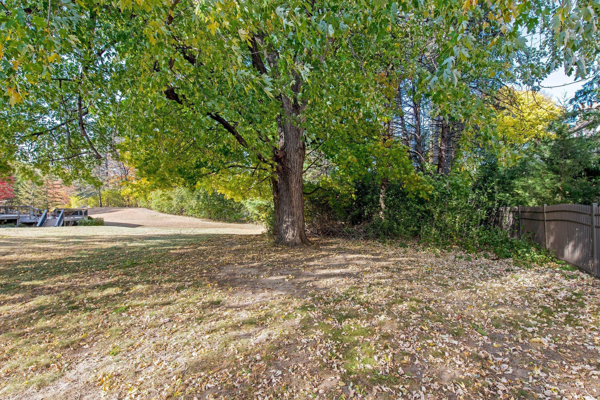 Xxxx 78th Street Property Photo 19