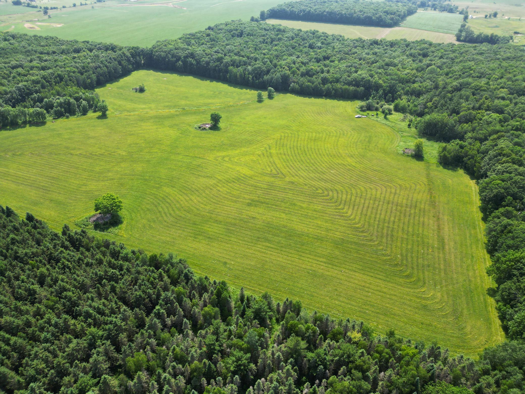 1348 Tbd County Road D - Lot 5 Property Photo 4