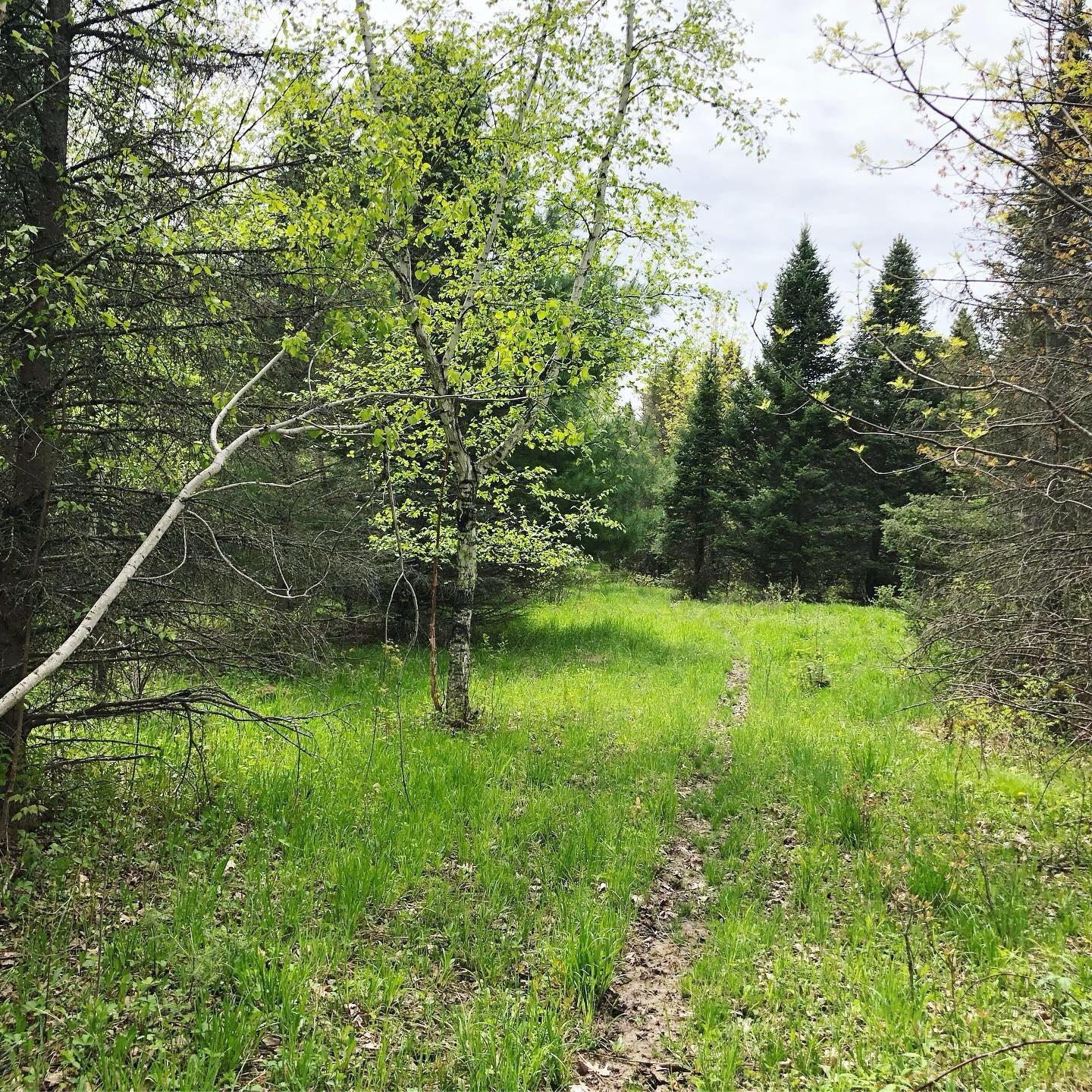 1348 Tbd County Road D - Lot 5 Property Photo 5