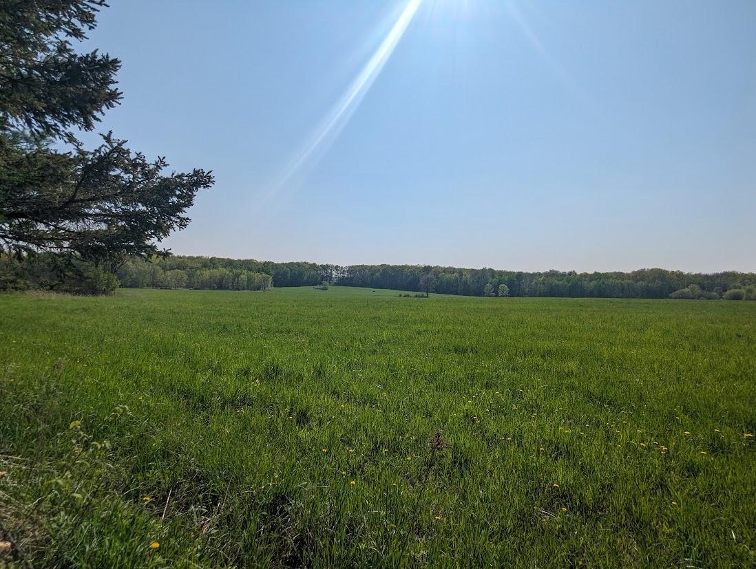 1348 Tbd County Road D - Lot 5 Property Photo 6