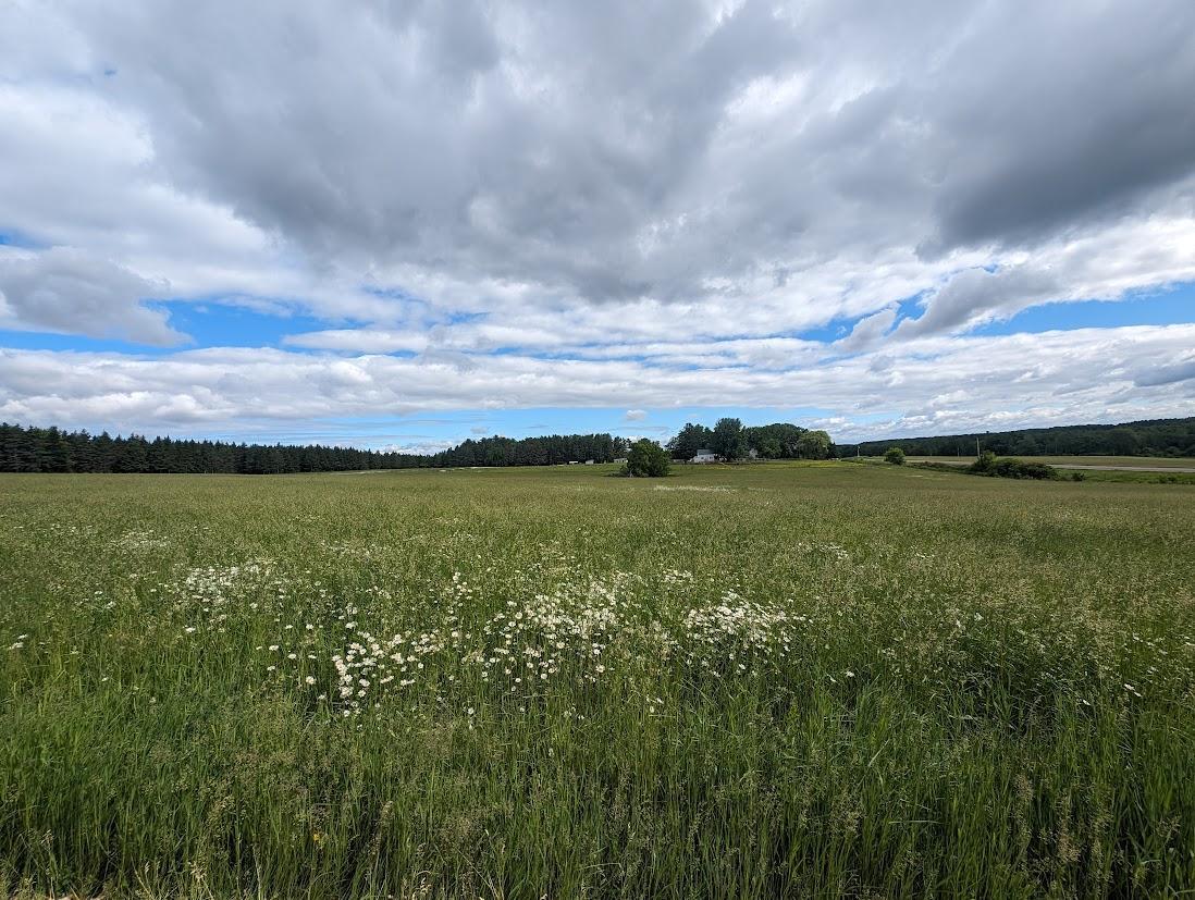 1348 Tbd County Road D - Lot 5 Property Photo 8