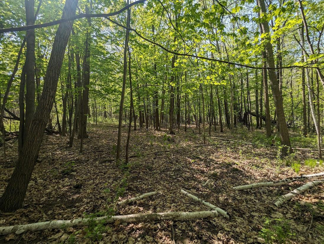 1348 Tbd County Road D - Lot 5 Property Photo 14