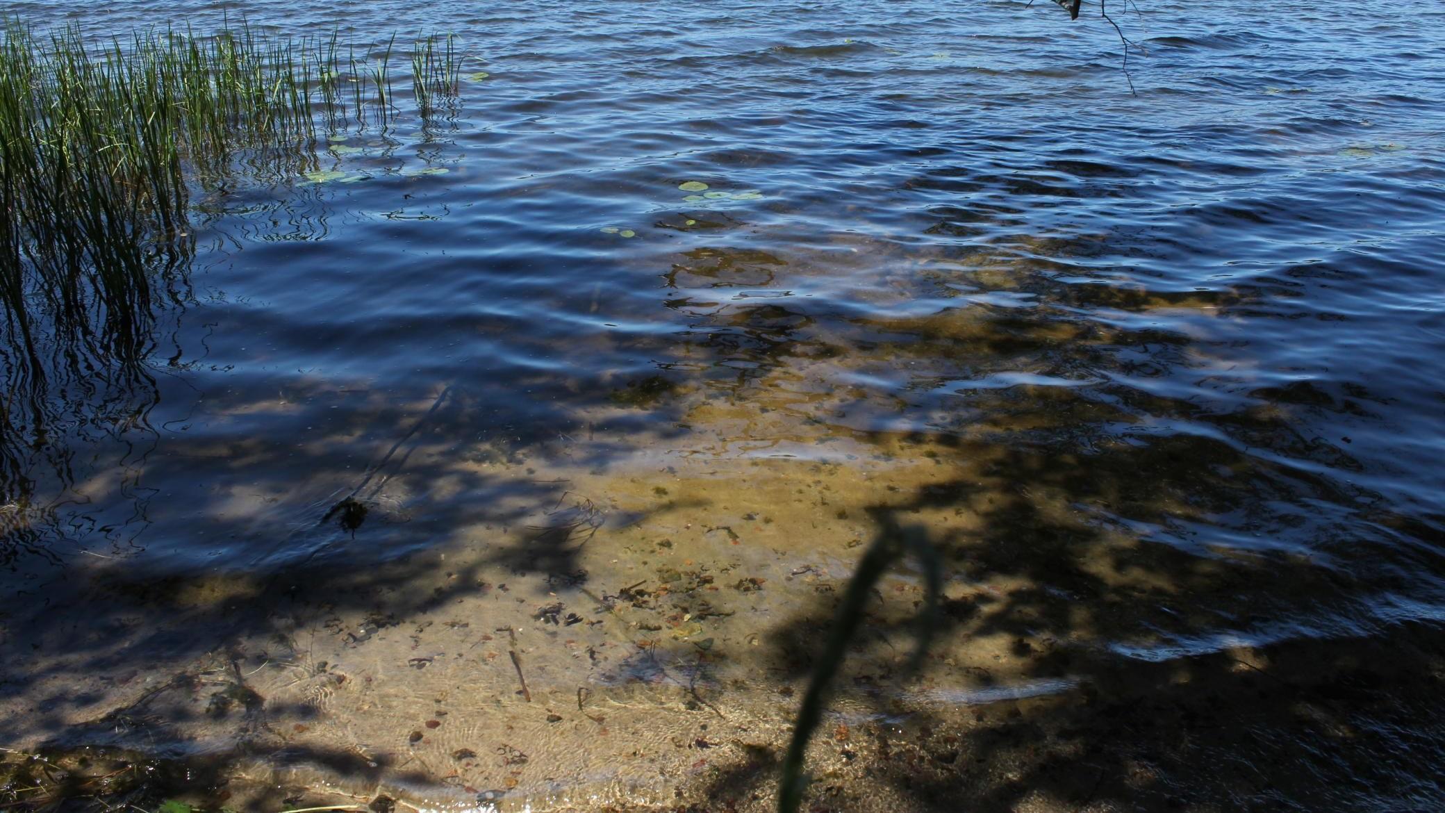 41615 E Eagle Lake Road Property Photo 35