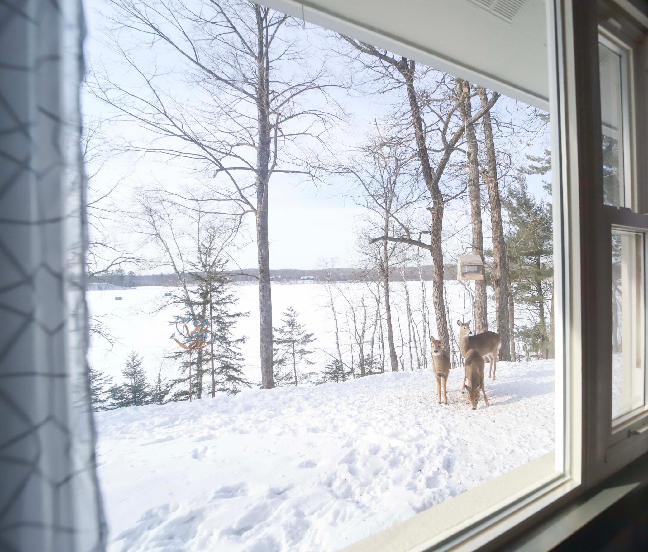 41615 E Eagle Lake Road Property Photo 44