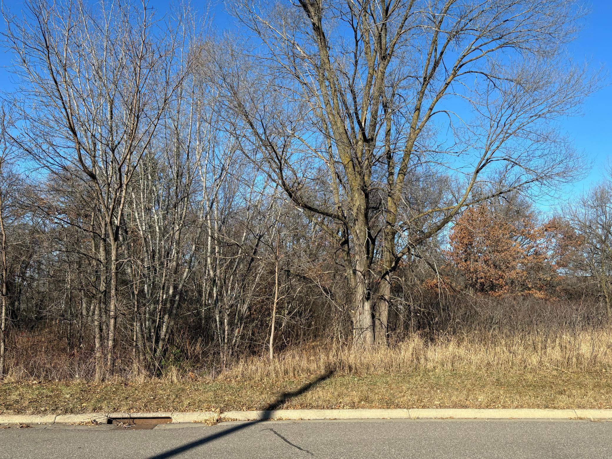 201 High Drive Property Photo 3