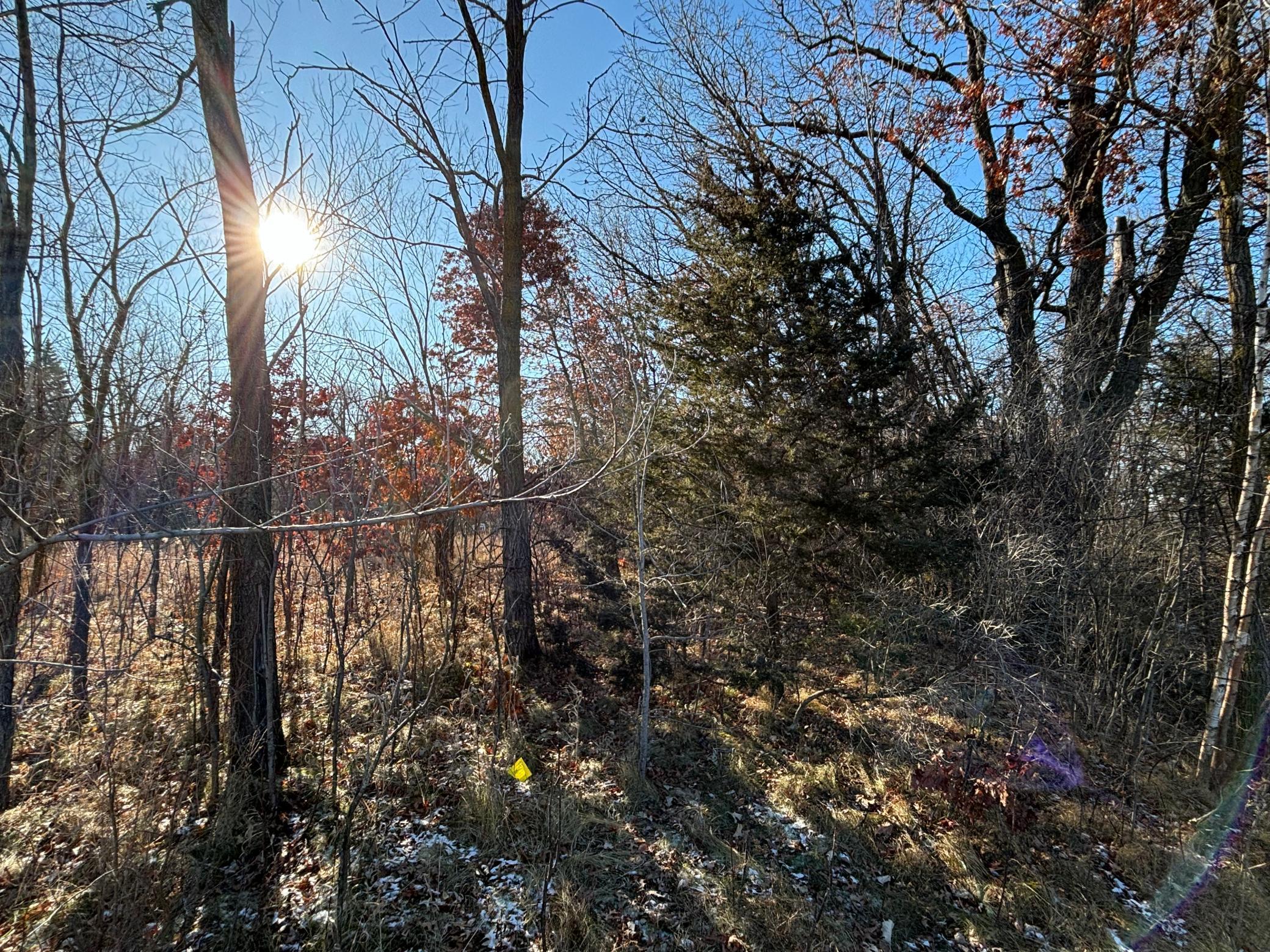 201 High Drive Property Photo 5