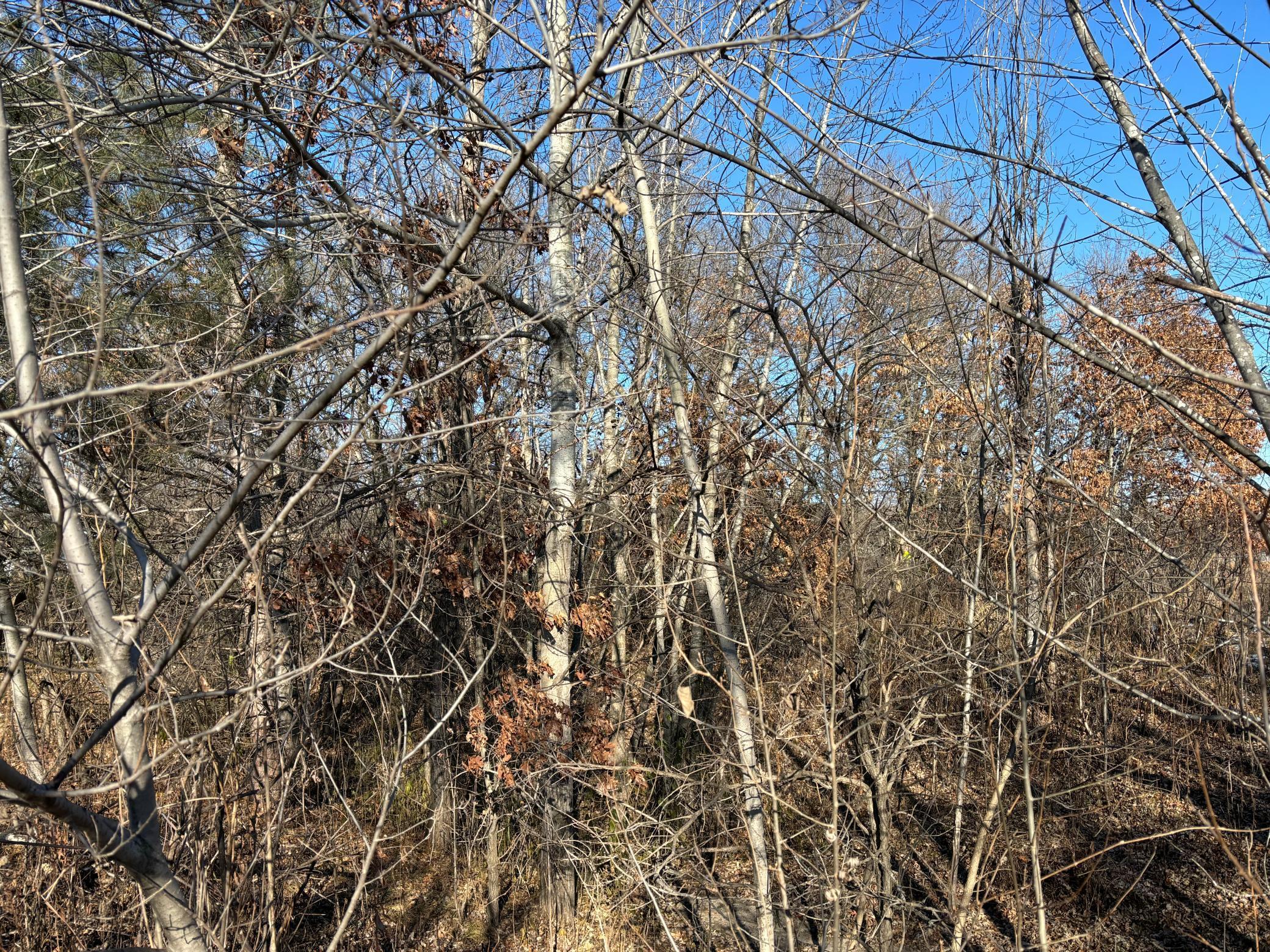 201 High Drive Property Photo 6